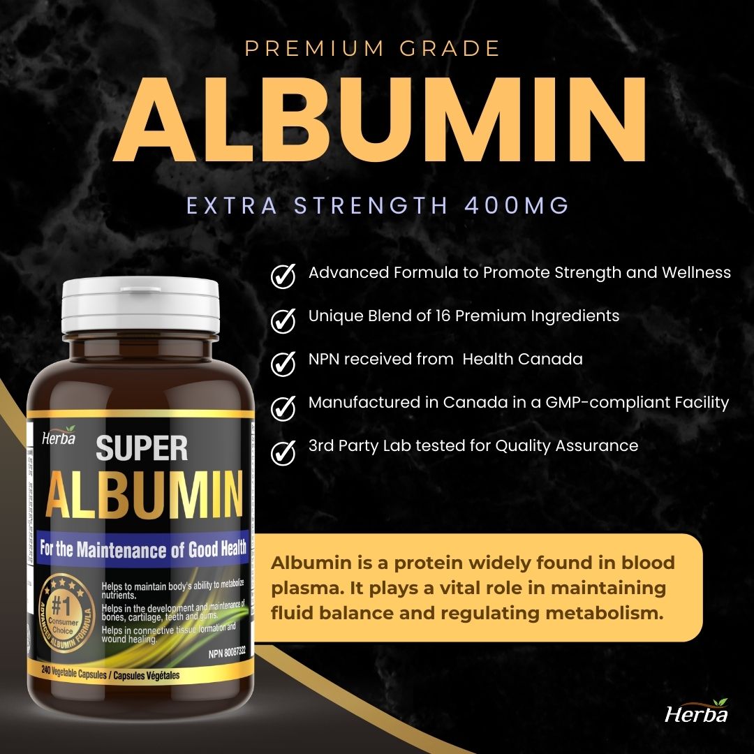 Albumin Protein Supplement – 240 Vegetable Capsules | Albumin Capsules with 16 Premium Ingredients
