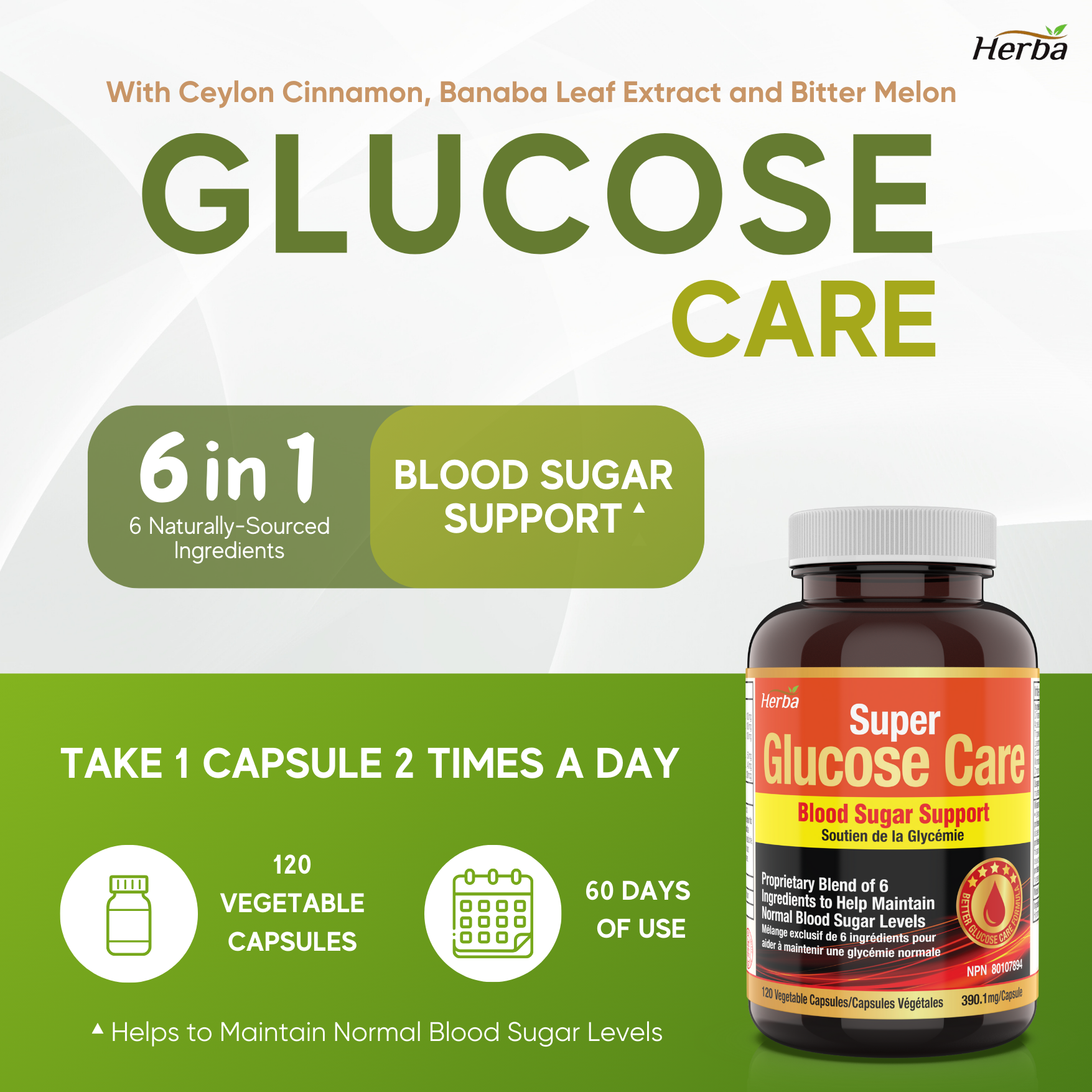 Glucose Care - 120 Capsules | Blood Sugar Support with 6 Ingredients