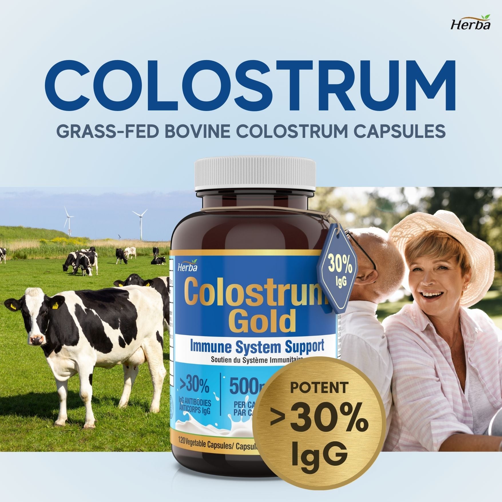 Suppléments de colostrum bovin 500 mg - 120 gélules | Riche en lactoferrine et immunoglobulines | 30 % d&