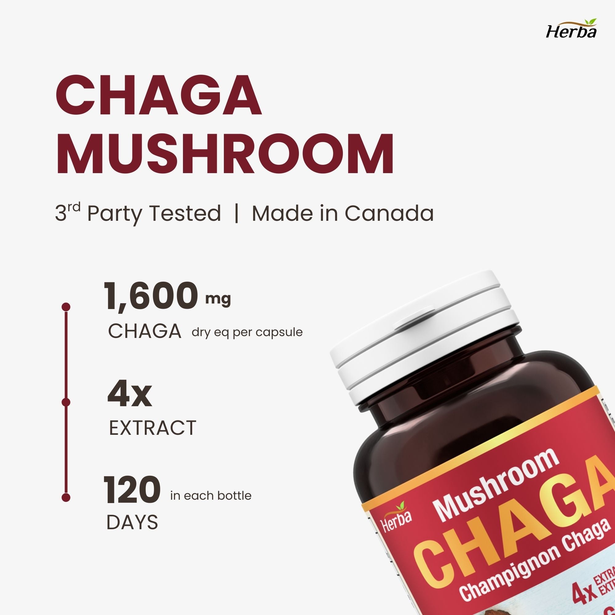 Gélules de champignon Chaga 400 mg - 120 gélules végétales | Concentré élevé 4:1