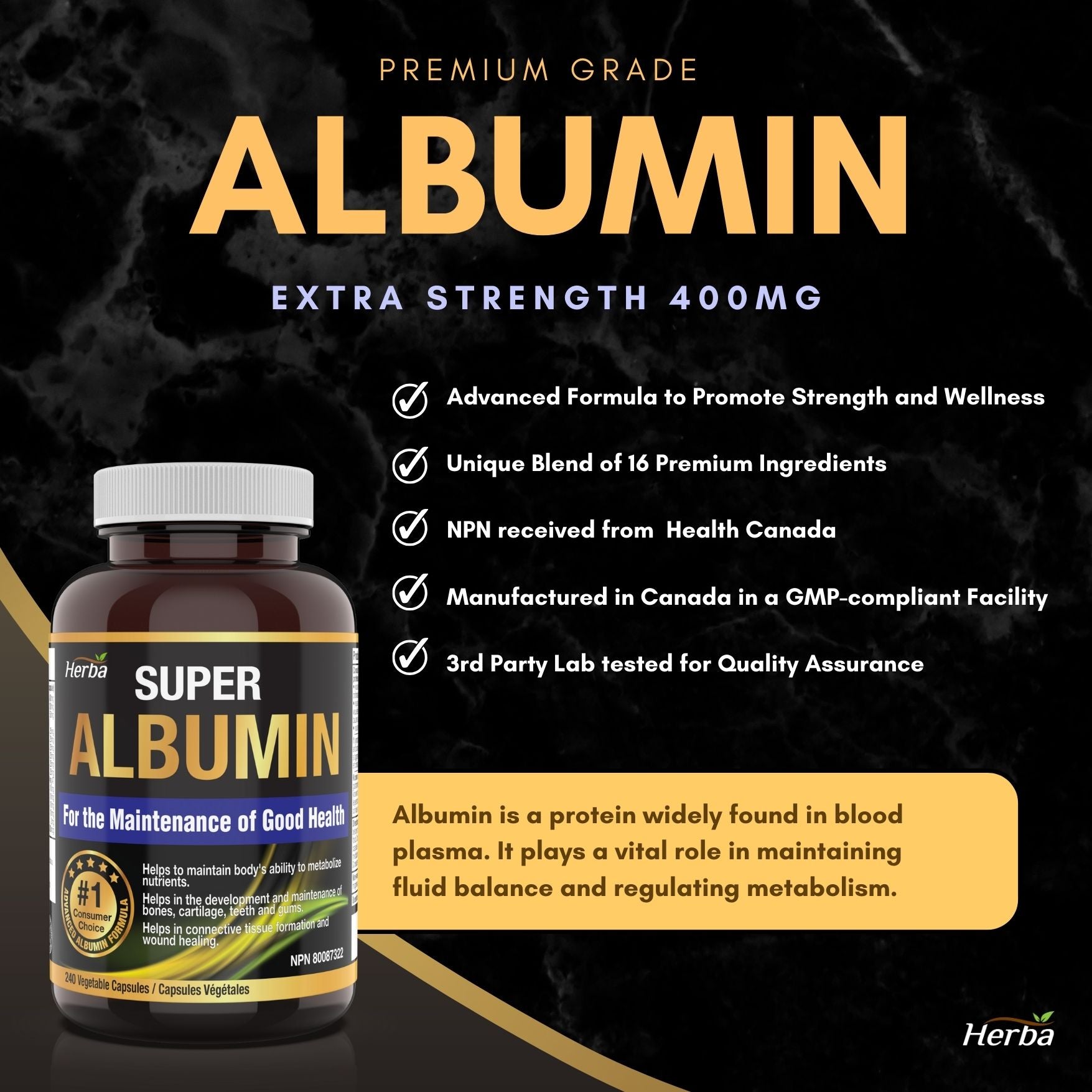Albumin Protein Supplement – 240 Vegetable Capsules | Albumin Capsules with 16 Premium Ingredients
