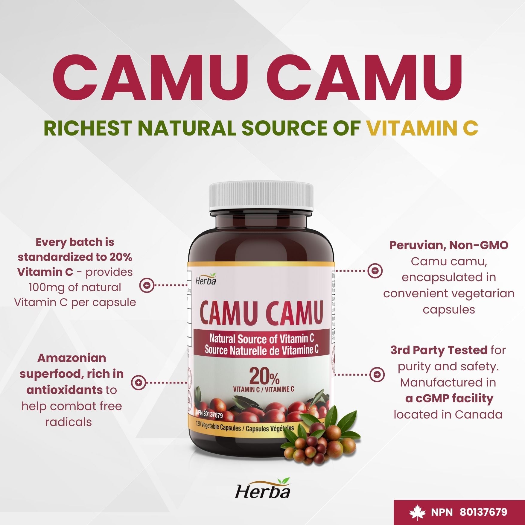 Capsules de Camu Camu 500mg - 120 Capsules | 20% Vitamine C Naturelle | Fabriqué au Canada