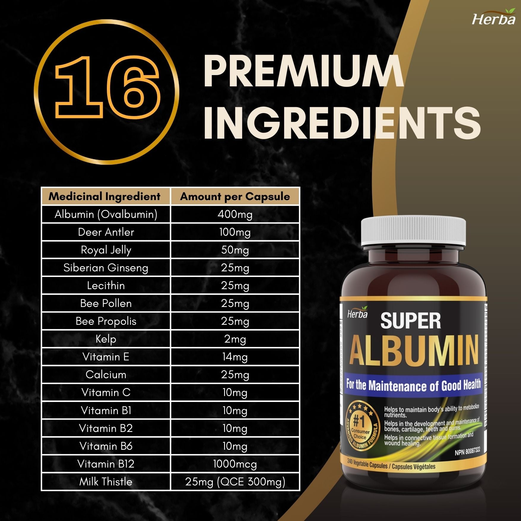 Albumin Protein Supplement – 240 Vegetable Capsules | Albumin Capsules with 16 Premium Ingredients
