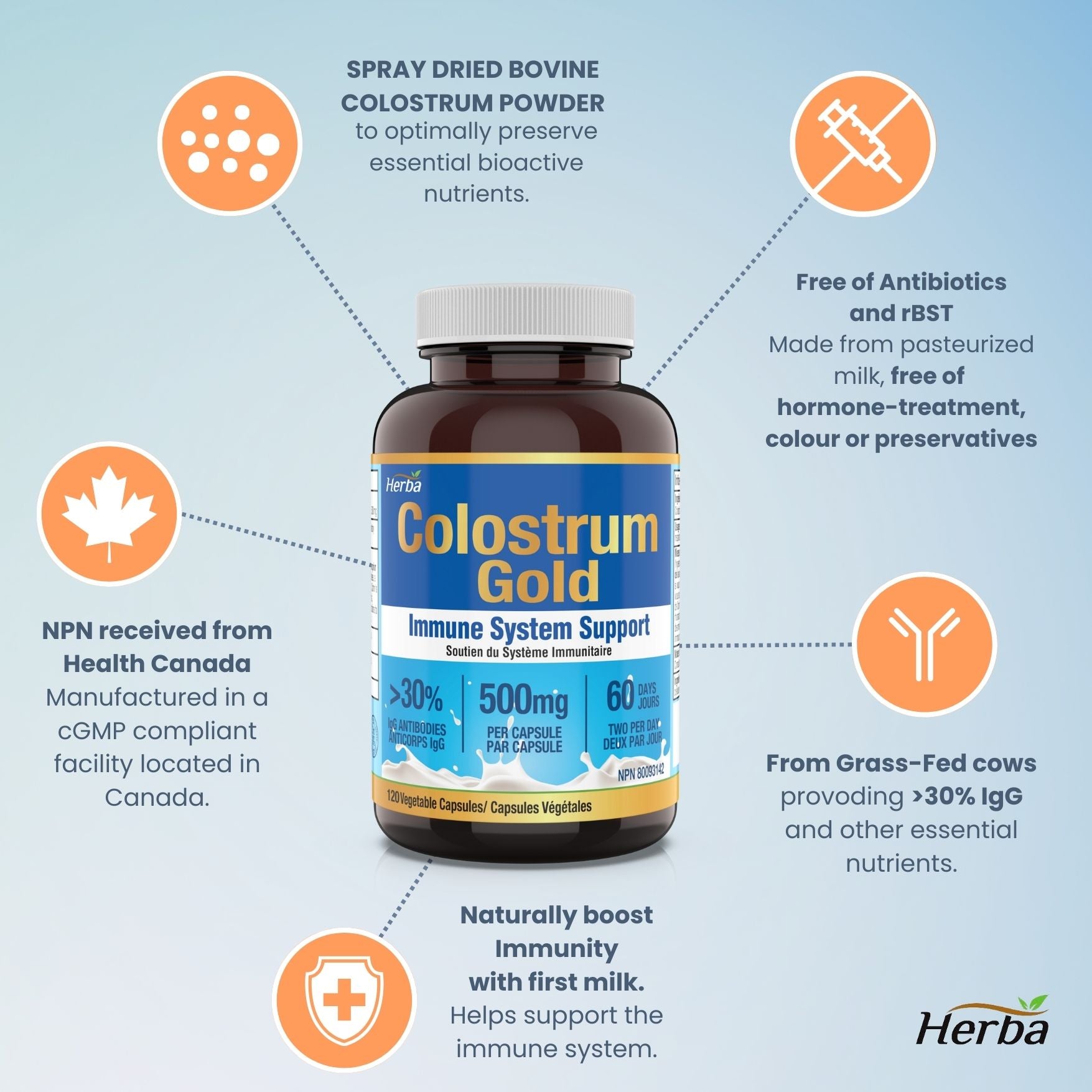 Suppléments de colostrum bovin 500 mg - 120 gélules | Riche en lactoferrine et immunoglobulines | 30 % d&