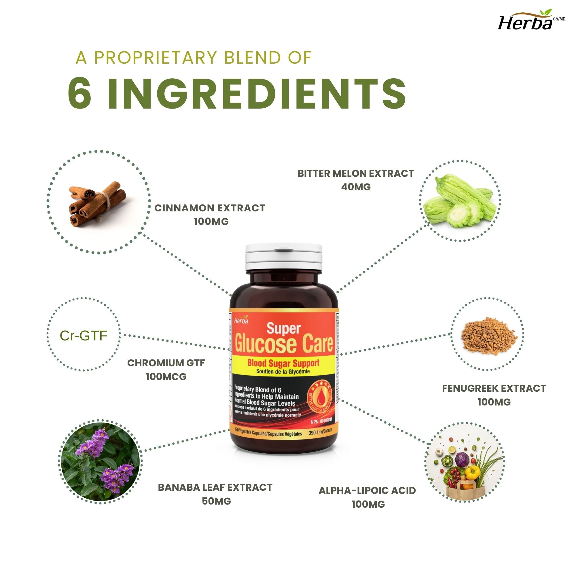 Glucose Care - 120 Capsules | Blood Sugar Support with 6 Ingredients