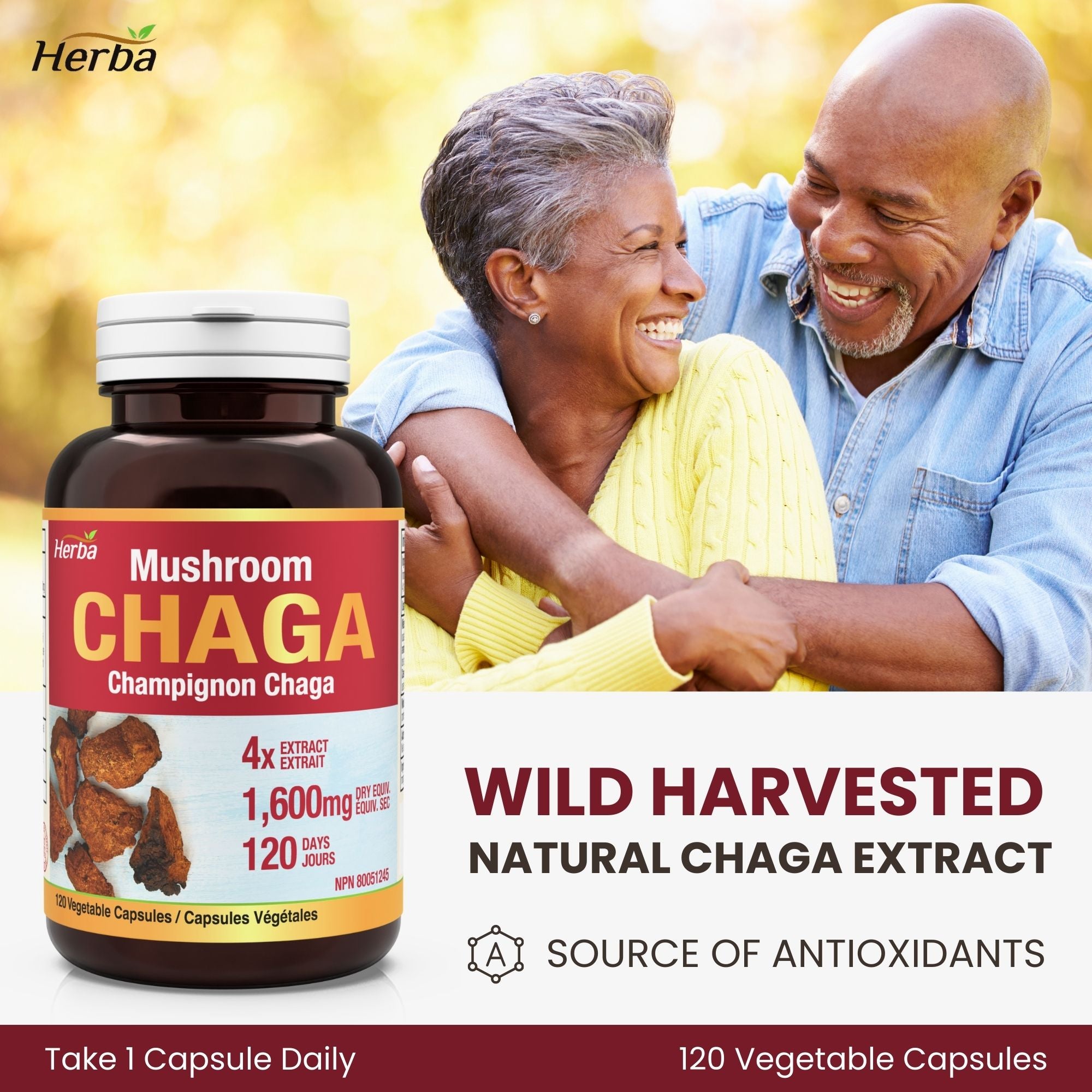 Gélules de champignon Chaga 400 mg - 120 gélules végétales | Concentré élevé 4:1