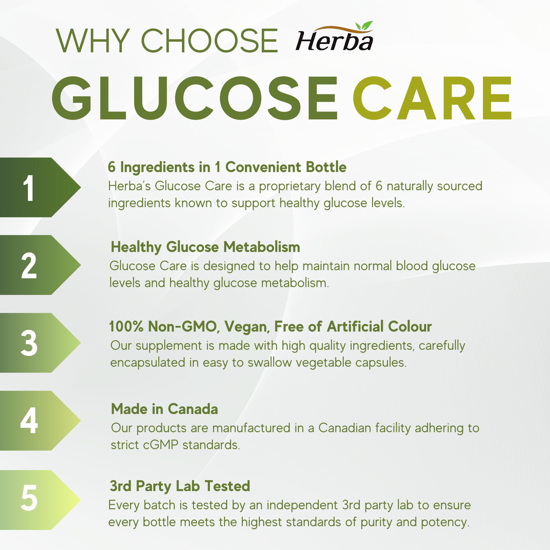 Glucose Care - 120 Capsules | Blood Sugar Support with 6 Ingredients