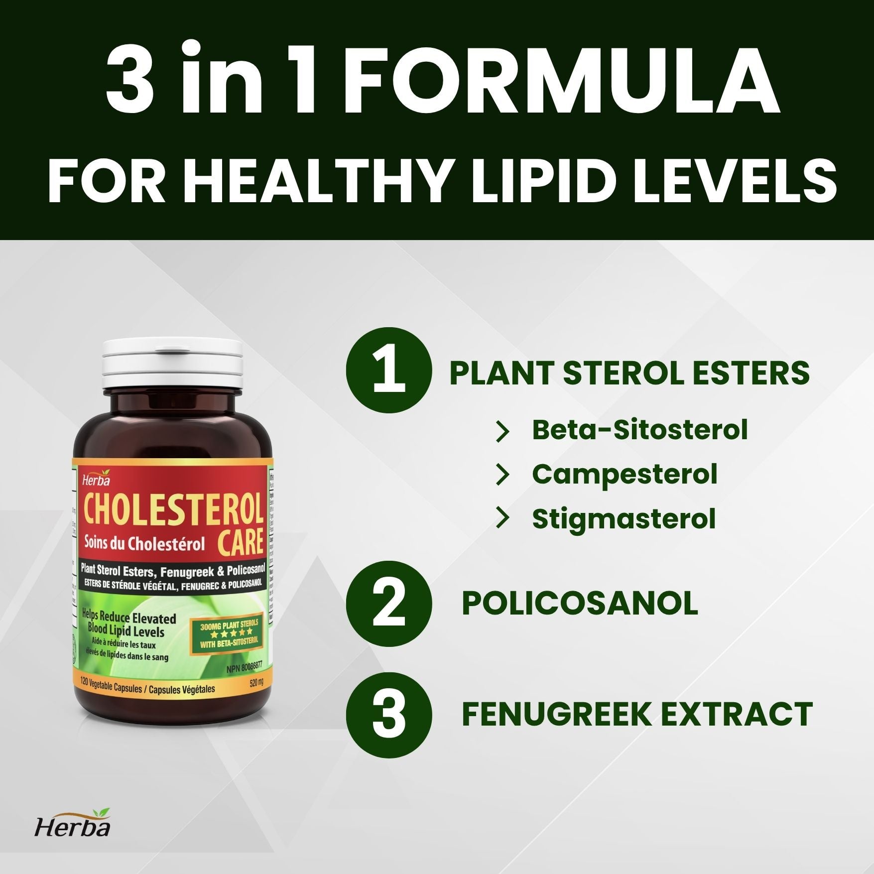 Soin Cholestérol – 120 Gélules Végétales