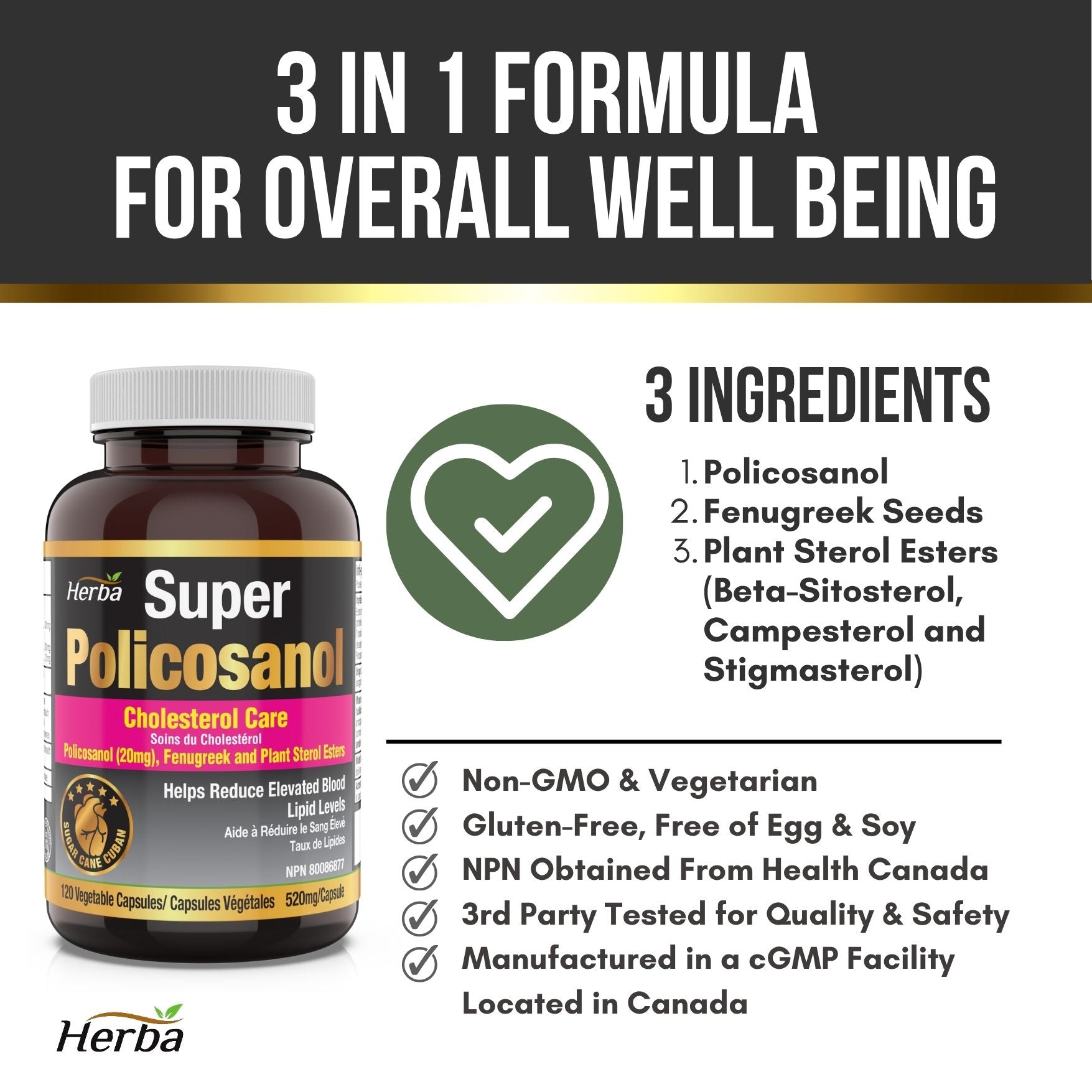 Policosanol 20 mg avec fenugrec et esters de stérols végétaux - 120 gélules végétales