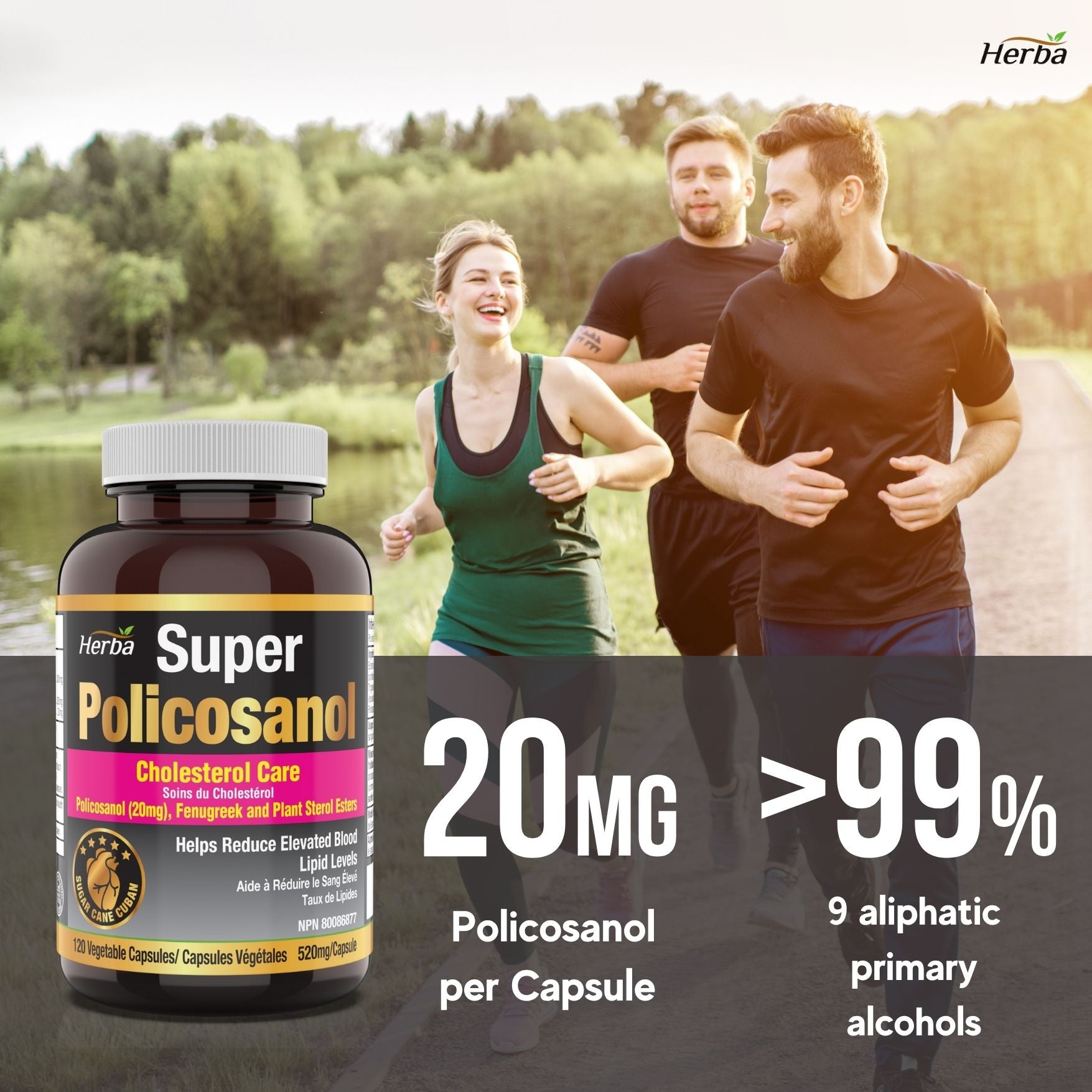 Policosanol 20 mg avec fenugrec et esters de stérols végétaux - 120 gélules végétales