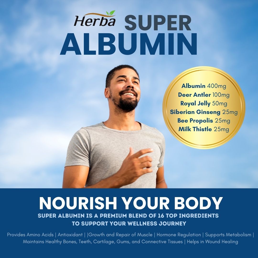 Albumin Protein Supplement – 240 Vegetable Capsules | Albumin Capsules with 16 Premium Ingredients