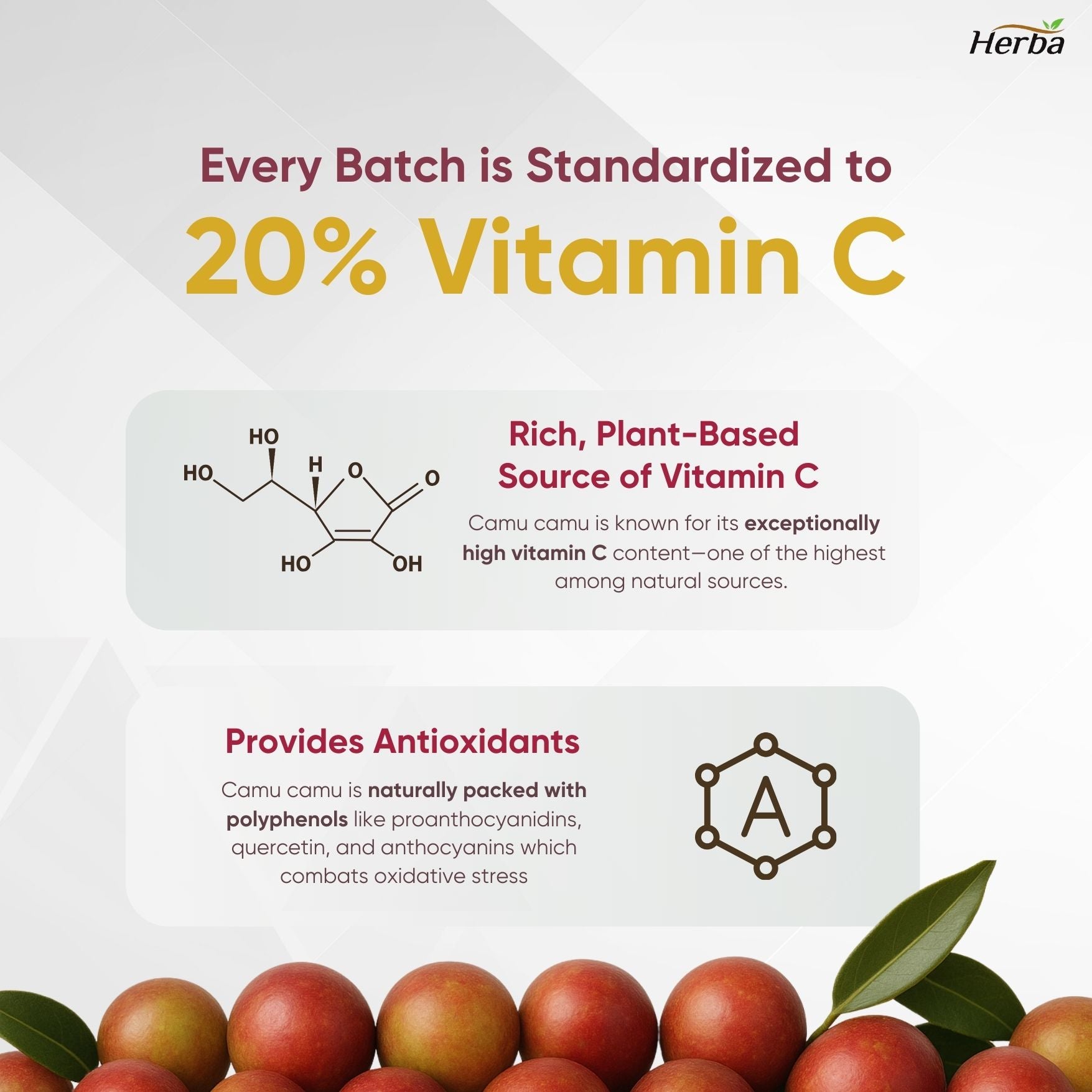 Capsules de Camu Camu 500mg - 120 Capsules | 20% Vitamine C Naturelle | Fabriqué au Canada