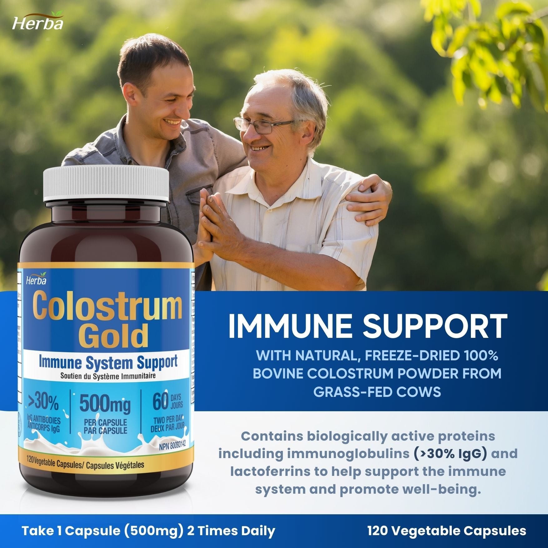 Suppléments de colostrum bovin 500 mg - 120 gélules | Riche en lactoferrine et immunoglobulines | 30 % d&