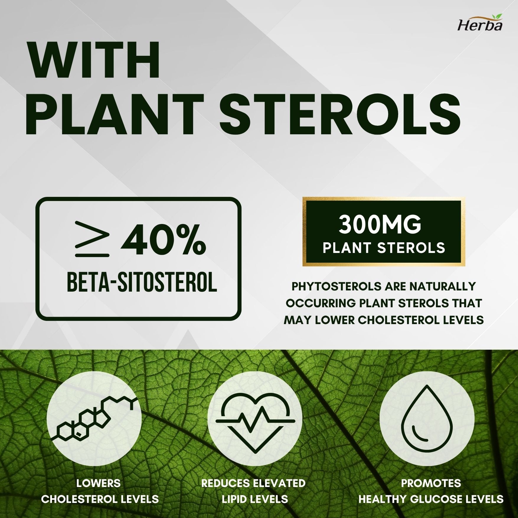 Soin Cholestérol – 120 Gélules Végétales