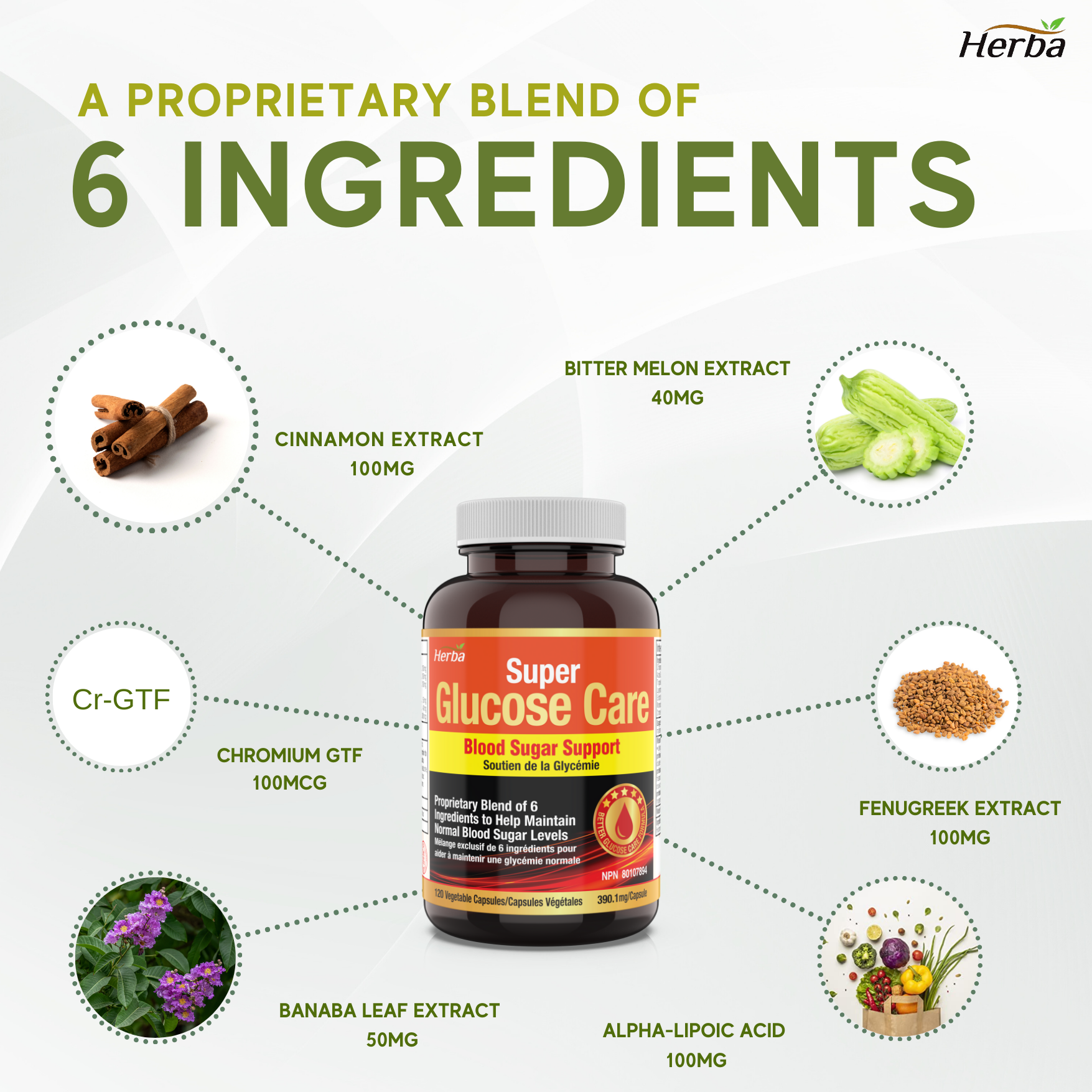 Glucose Care - 120 Capsules | Blood Sugar Support with 6 Ingredients