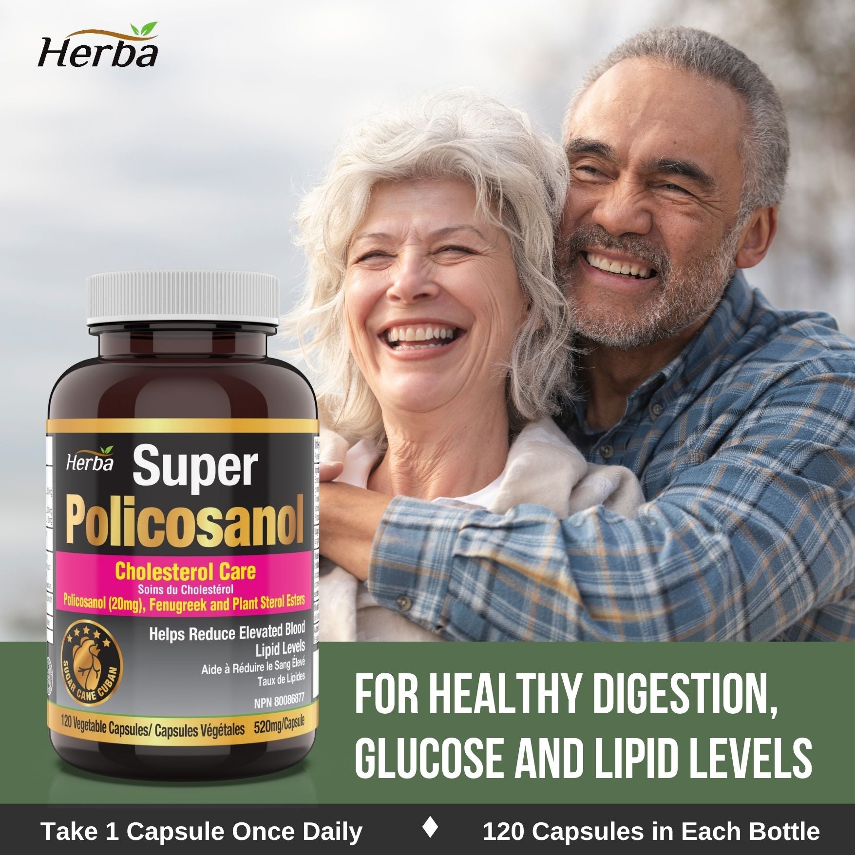 Policosanol 20 mg avec fenugrec et esters de stérols végétaux - 120 gélules végétales