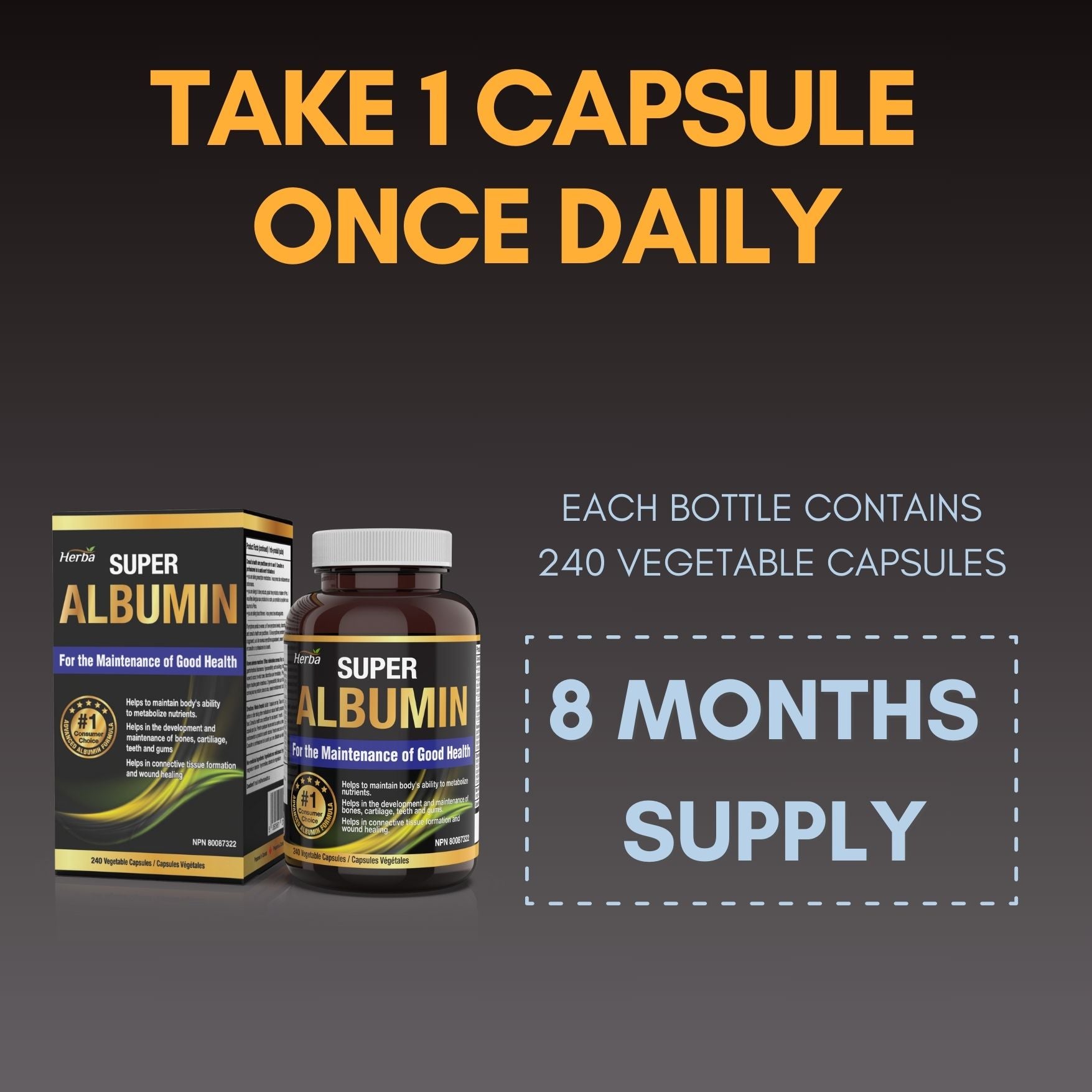Albumin Protein Supplement – 240 Vegetable Capsules | Albumin Capsules with 16 Premium Ingredients