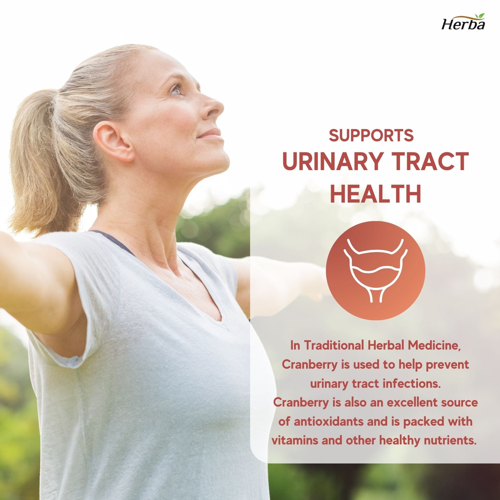 Pilules de canneberge pour femmes et hommes – 180 capsules de canneberge | 28 800 mg par jour | Concentration 36:1