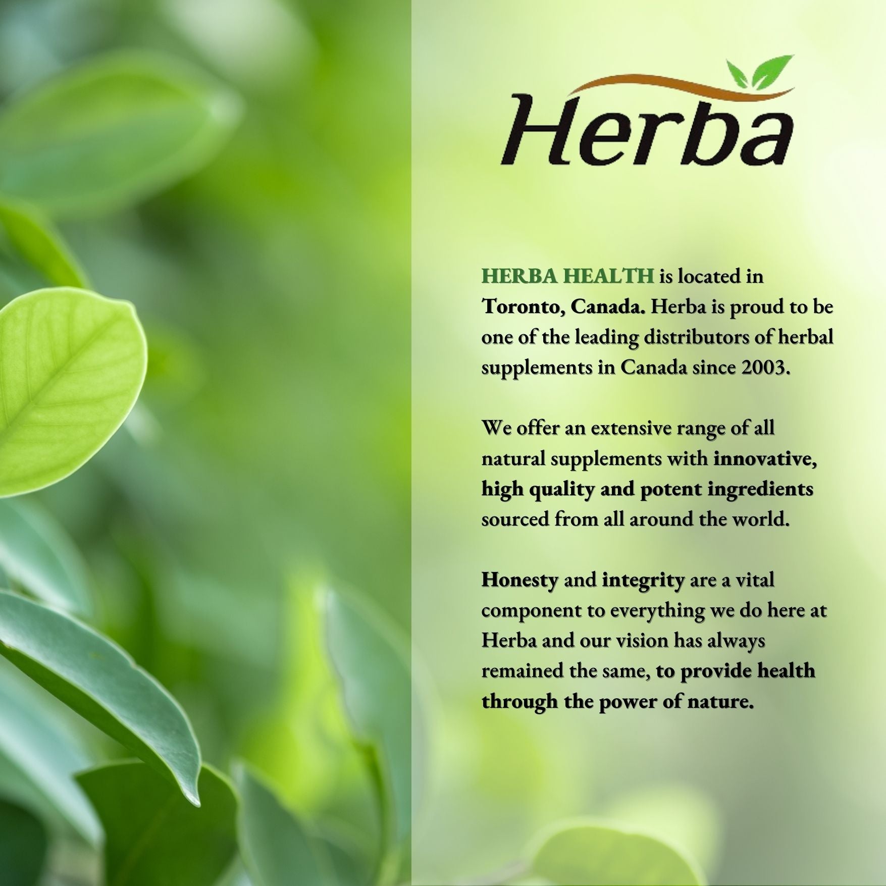 Capsules de Camu Camu 500mg - 120 Capsules | 20% Vitamine C Naturelle | Fabriqué au Canada