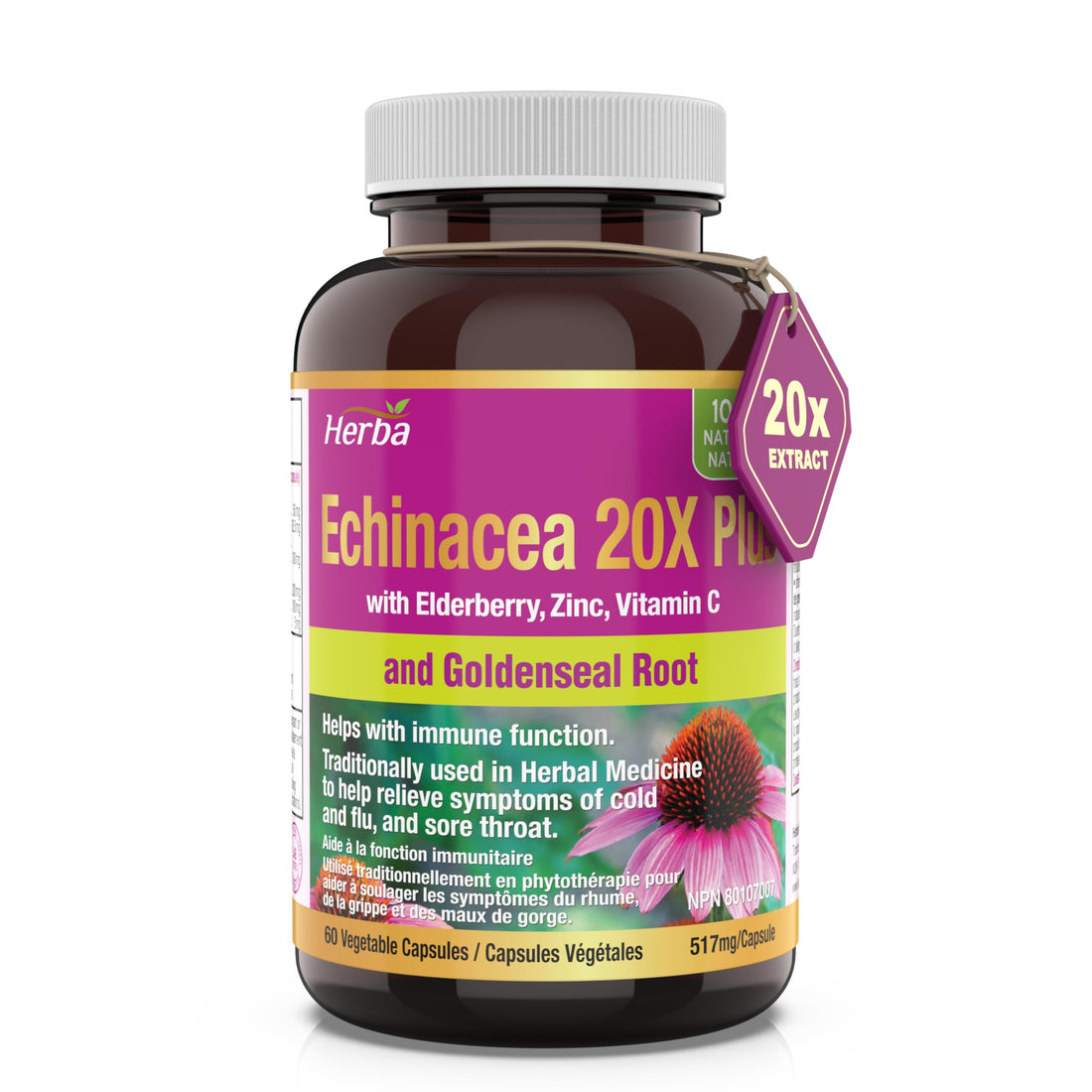 Herba Echinacea Capsules – 60 Vegetable Capsules | 4500mg of Echinacea Per Day