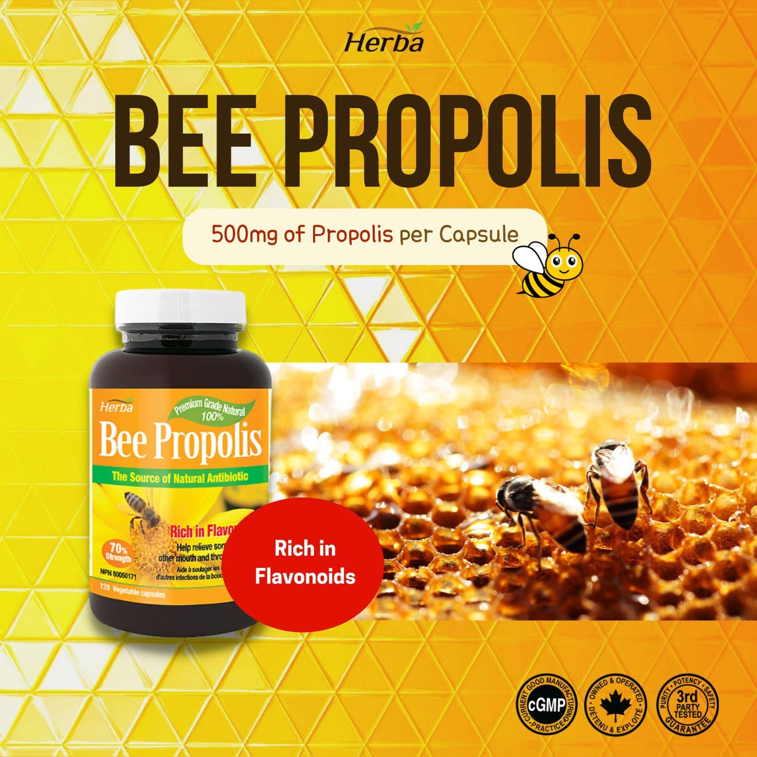 Herba Bee Propolis Capsules 500mg - 120 Capsules