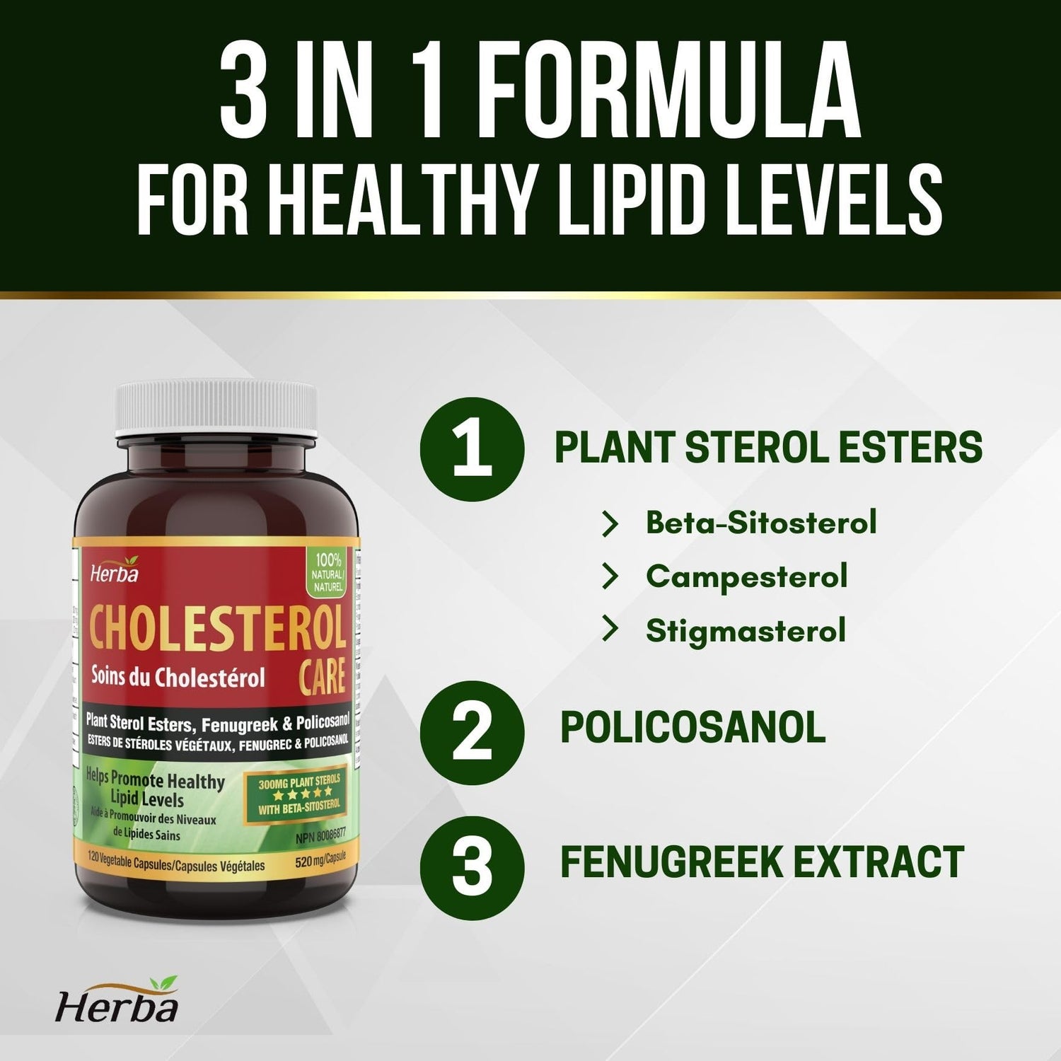 buy cholesterol supplement made in Canada