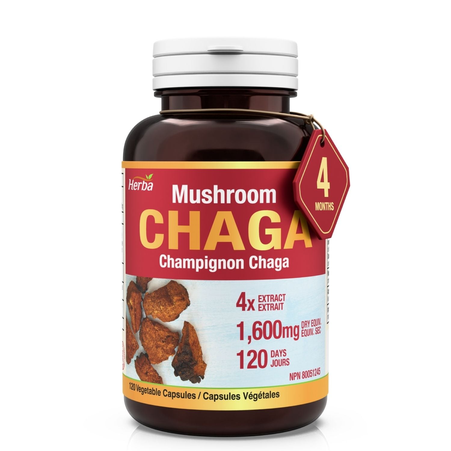 Gélules de champignon Chaga 400 mg - 120 gélules végétales | Concentré élevé 4:1