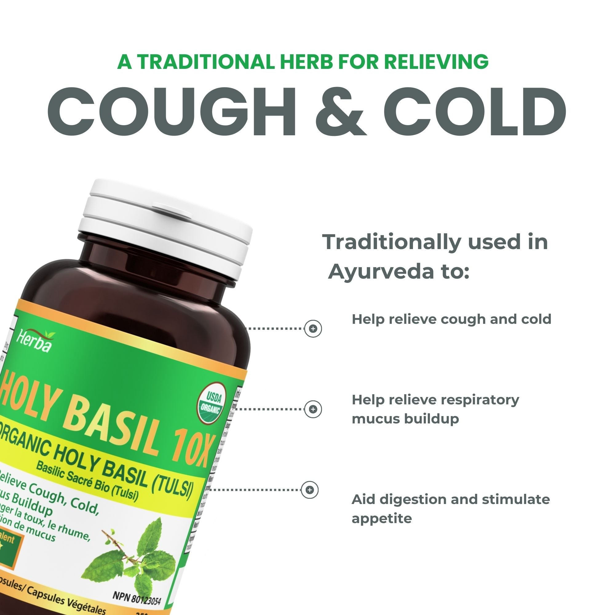 Organic Holy Basil Capsules – 350mg | 120 Vegetable Capsules