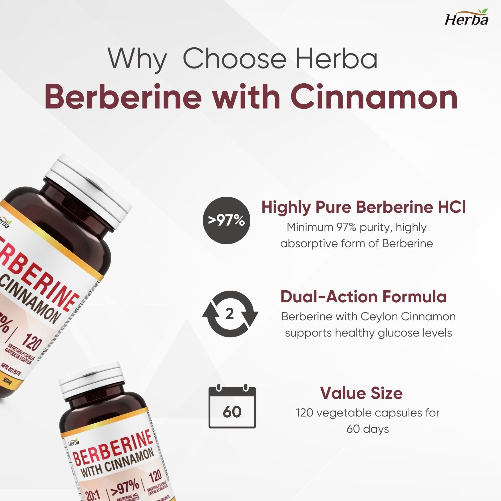 Supplément de Berbérine à la Cannelle de Ceylan – 120 Gélules | Bérberine 1000mg (par portion) | Fabriqué au Canada