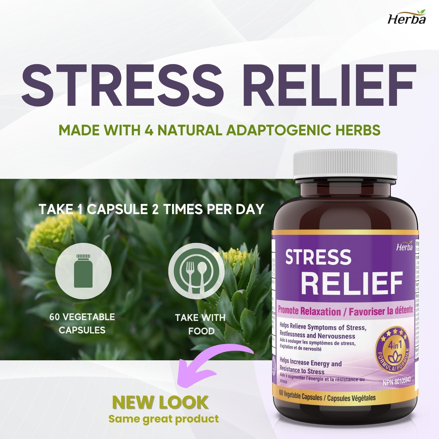 Aides naturelles au stress et au sommeil pour adultes - Sans mélatonine - 60 Capsules