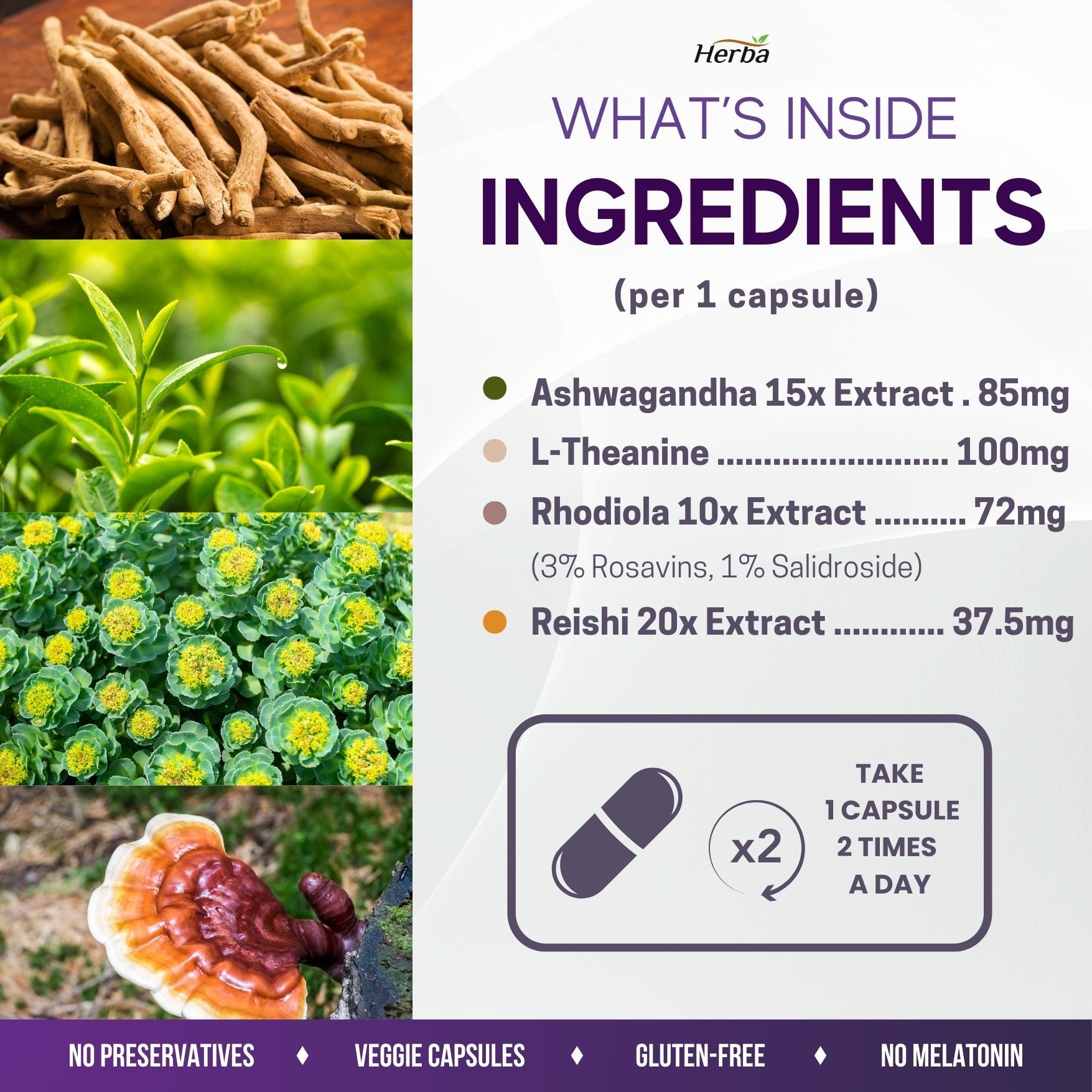 Aides naturelles au stress et au sommeil pour adultes - Sans mélatonine - 60 Capsules