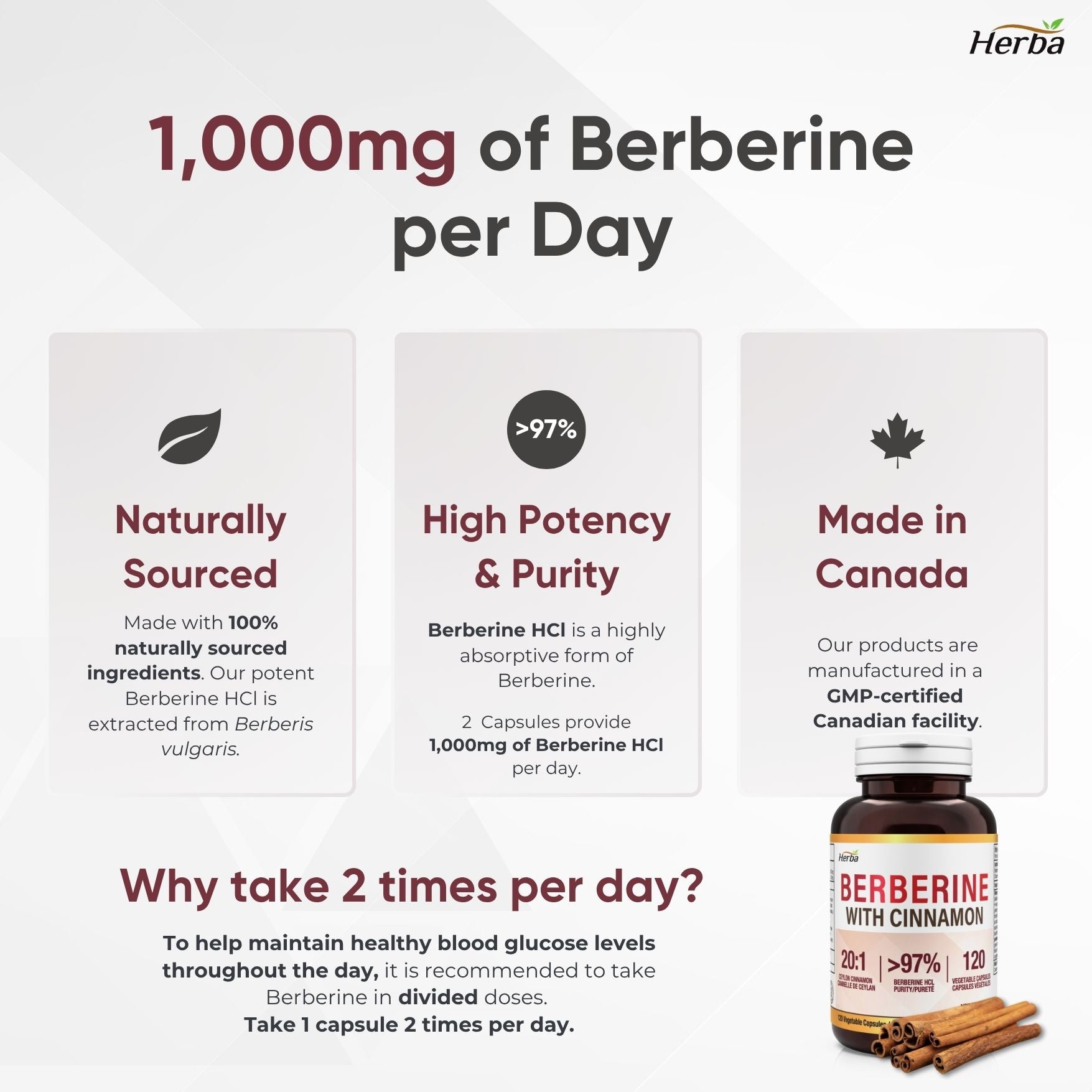 Supplément de Berbérine à la Cannelle de Ceylan – 120 Gélules | Bérberine 1000mg (par portion) | Fabriqué au Canada