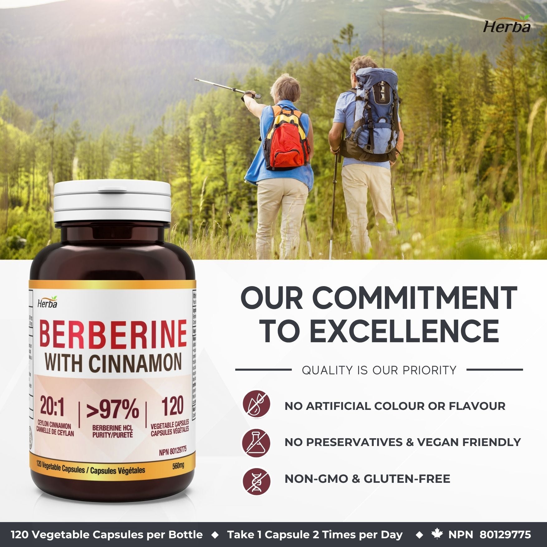 Supplément de Berbérine à la Cannelle de Ceylan – 120 Gélules | Bérberine 1000mg (par portion) | Fabriqué au Canada