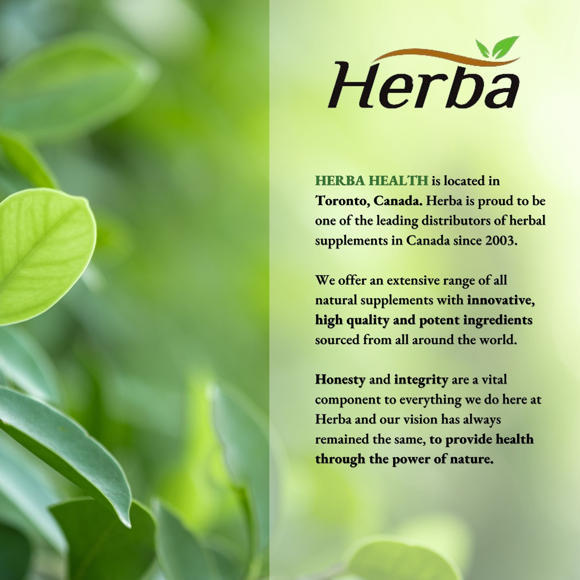 Zinc Copper Selenium Supplement - 180 Capsules | Made in Canada