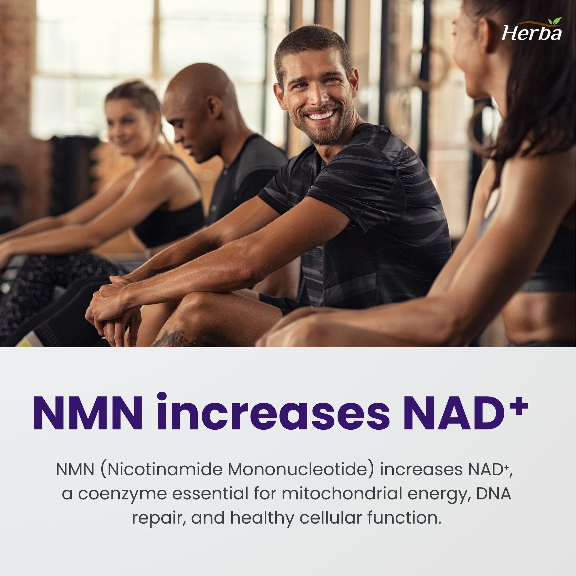 Supplément NMN + Resvératrol - 600 mg | Fabriqué au Canada | 60 Gélules Végétales