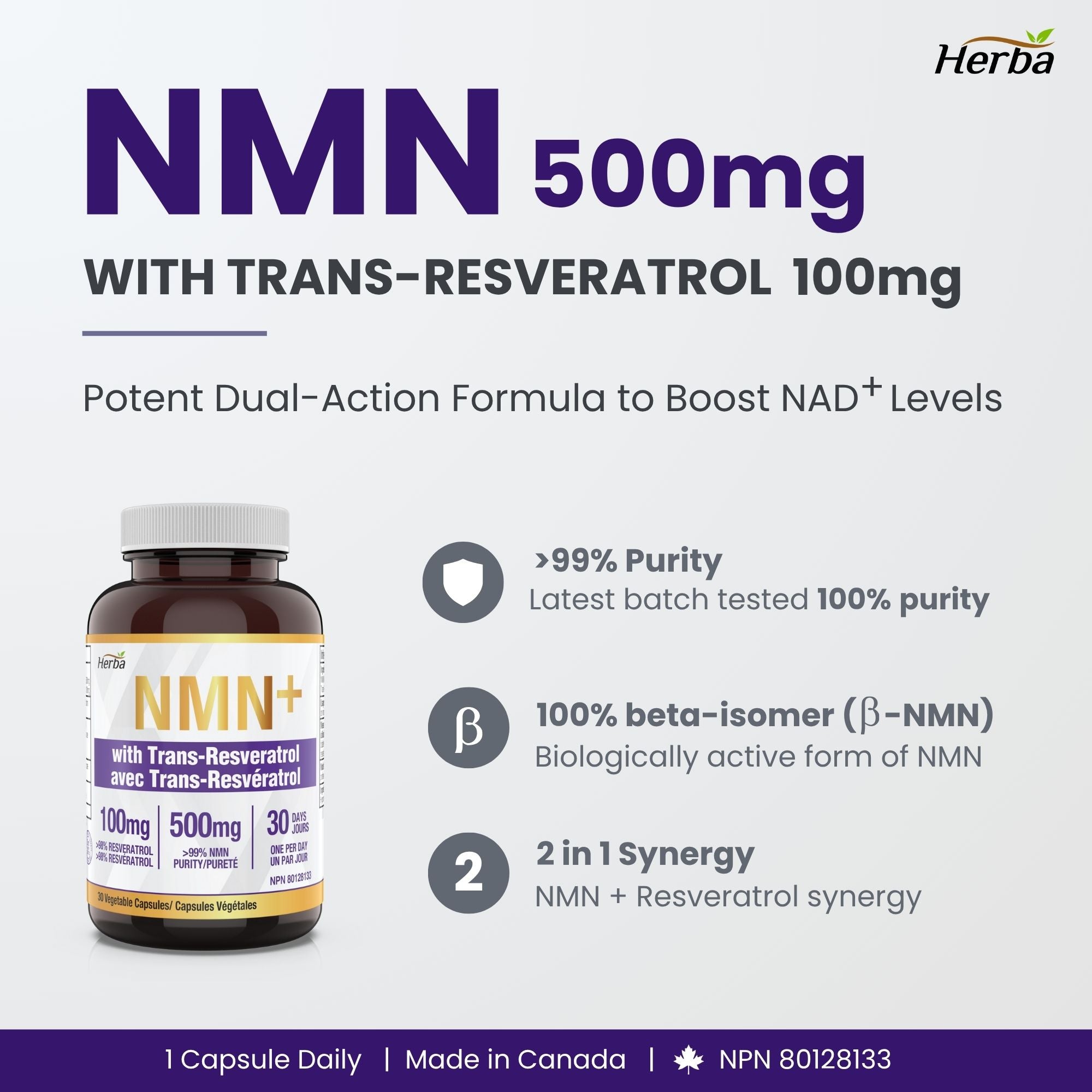 Supplément de NMN + Resvératrol - 600mg | Fabriqué au Canada | 30 capsules de légumes