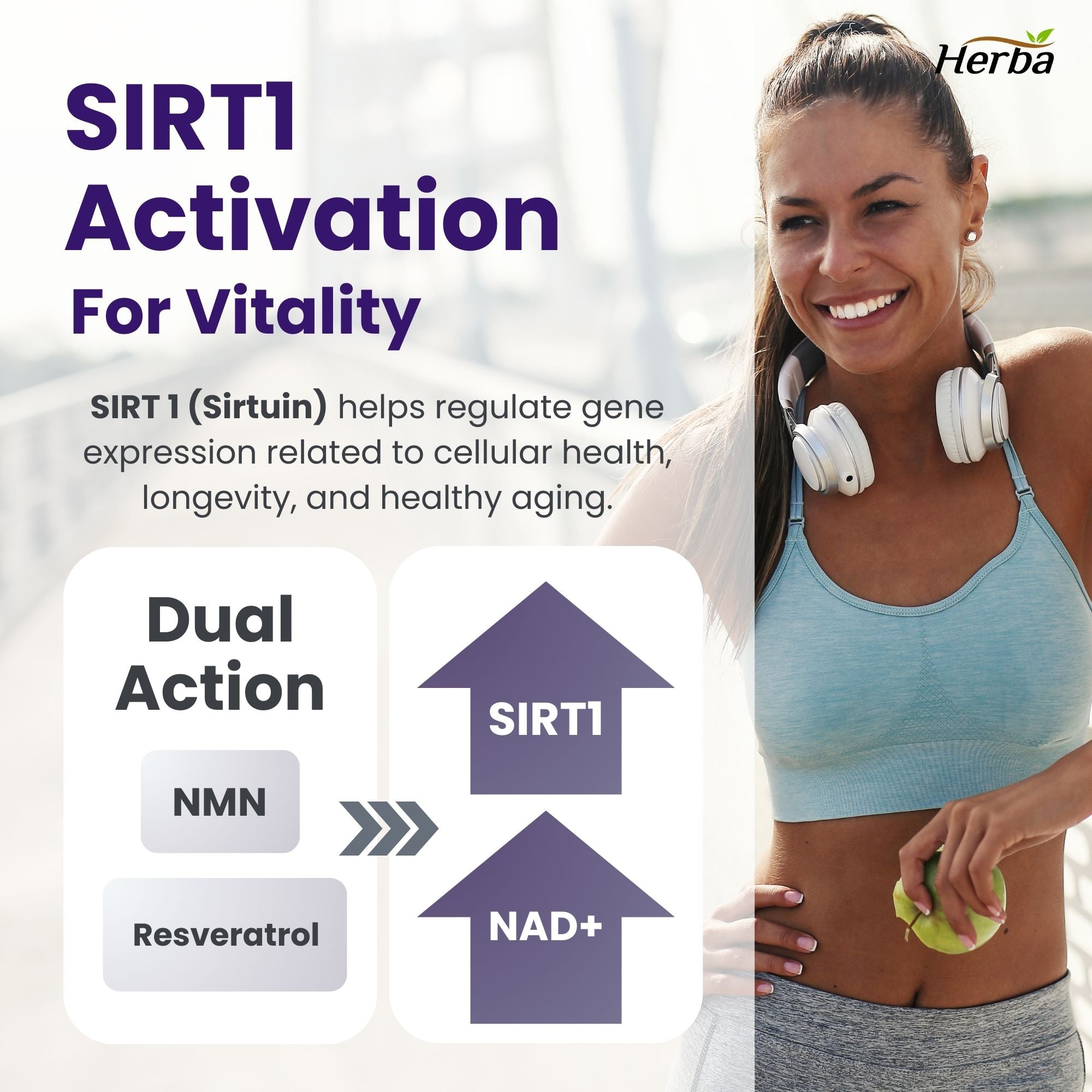 Supplément NMN + Resvératrol - 600 mg | Fabriqué au Canada | 60 Gélules Végétales