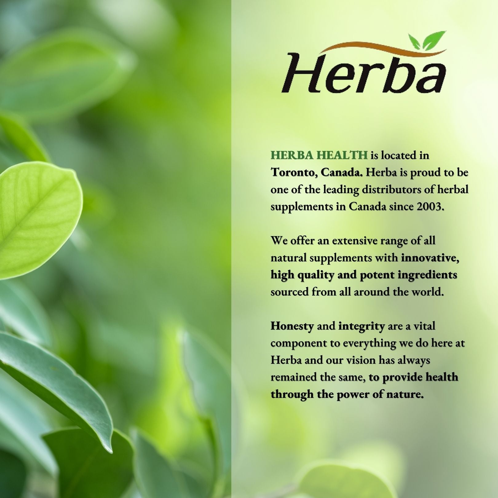 Albumin Protein Supplement – 240 Vegetable Capsules | Albumin Capsules with 16 Ingredients Including Deer Antler & Royal Jelly - Herba