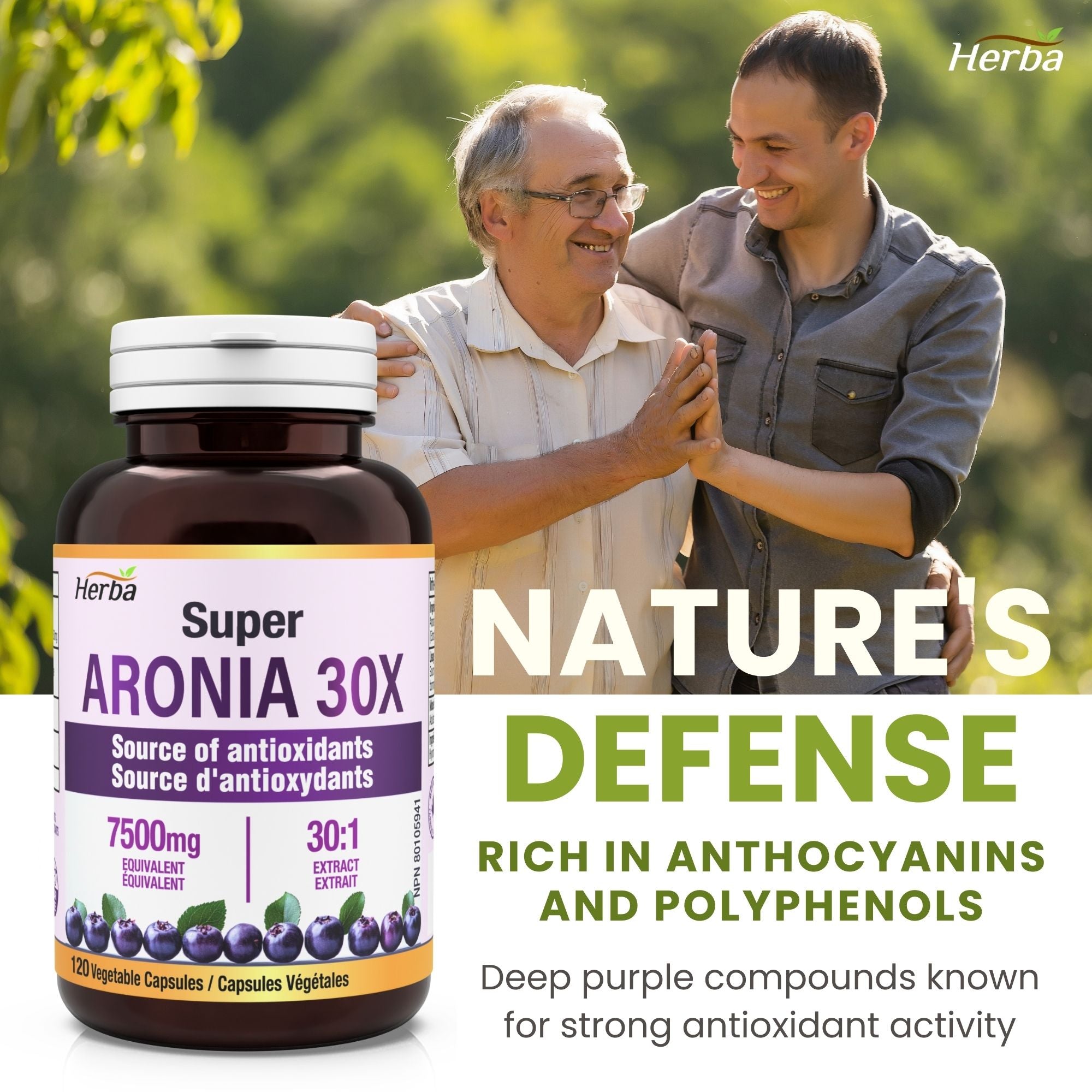 Aronia Berry Extract 250mg – 120 Capsules | 7500mg Fruit Equivalent | 30:1 Aronia Extract Supplement