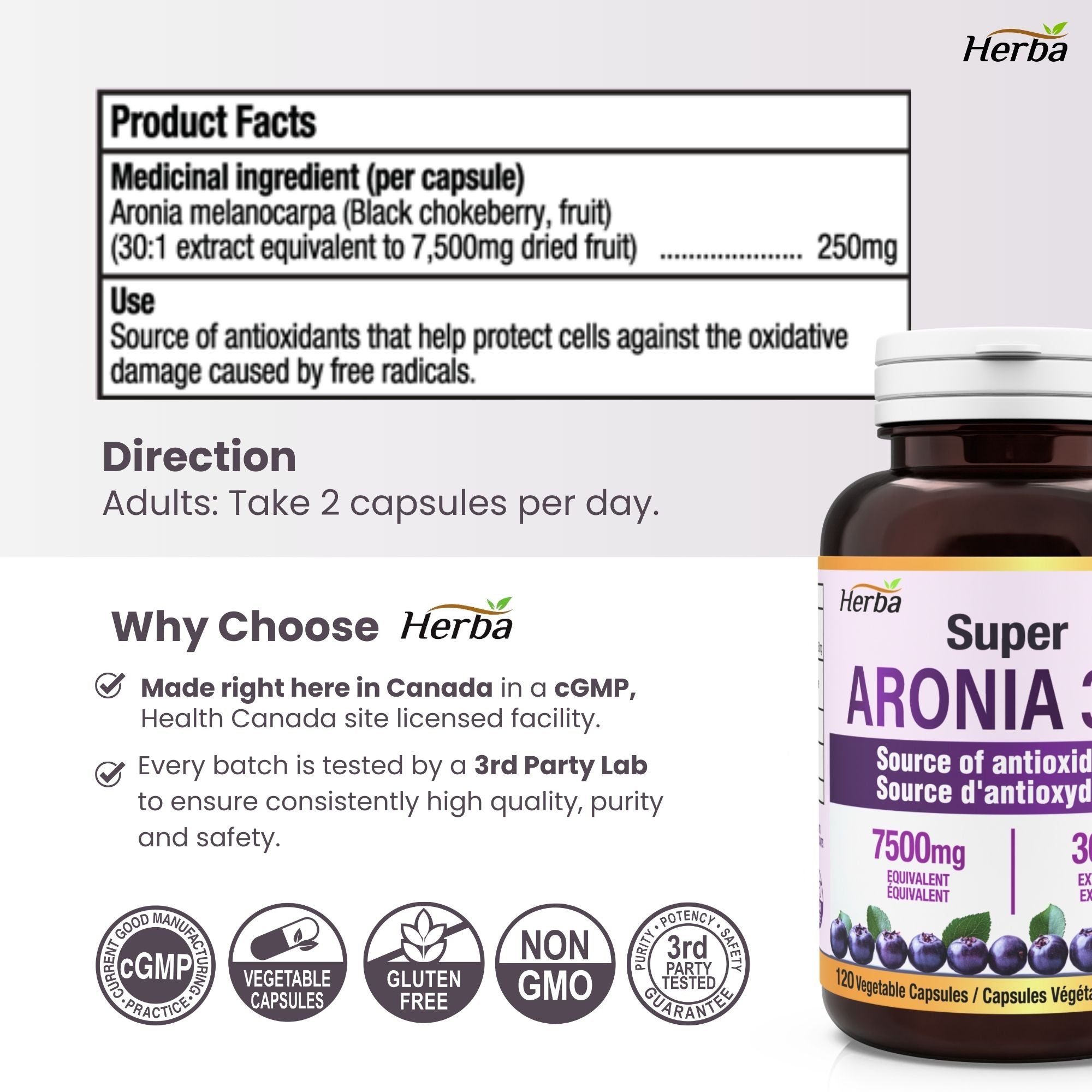 Aronia Berry Extract 250mg – 120 Capsules | 7500mg Fruit Equivalent | 30:1 Aronia Extract Supplement
