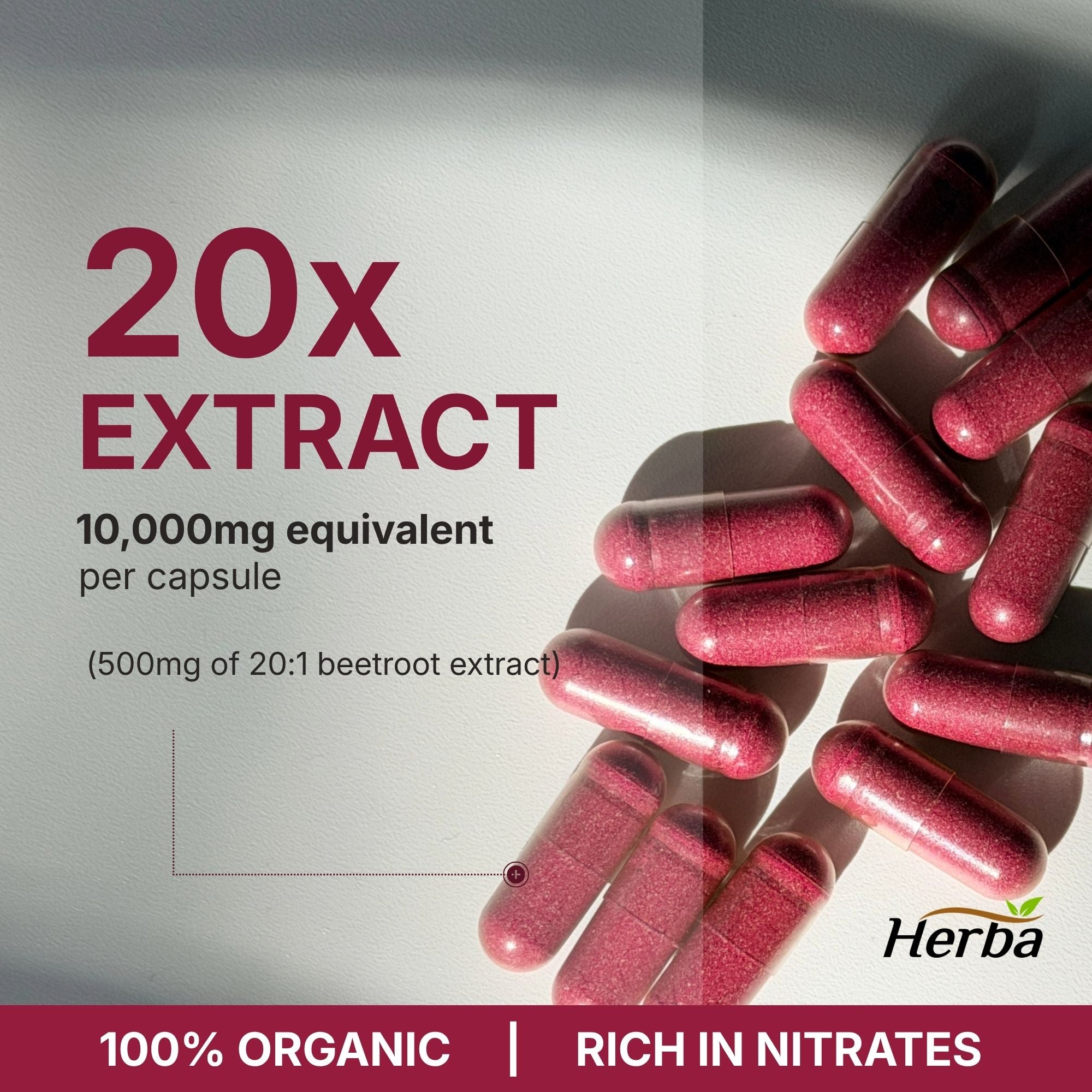 Supplément de racine de betterave biologique - 180 Capsules | Équivalent à 10 000 mg - Extrait de betterave 20:1 | Fabriqué au Canada