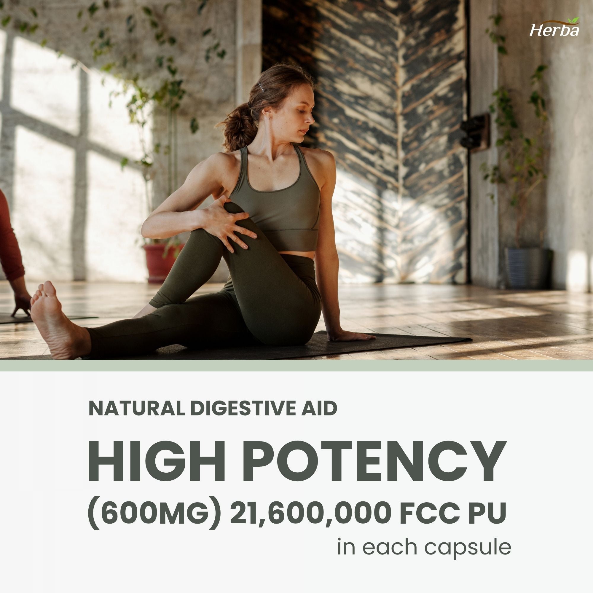 Supplément de bromélaïne 600 mg – 180 gélules | Puissance maximale de 2 400 GDU/g