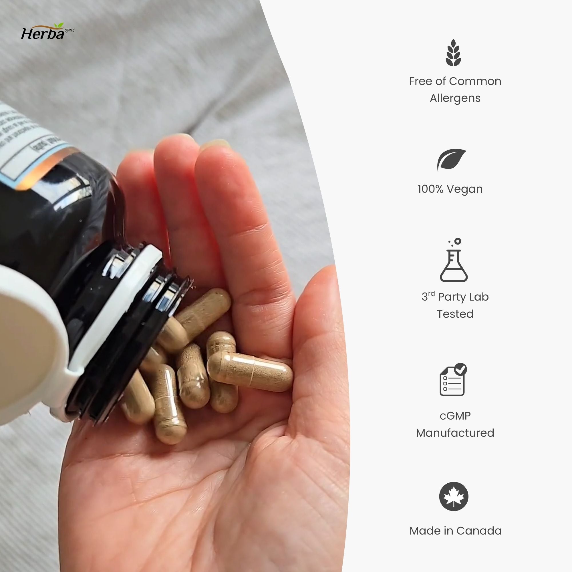 Respiratory Care - 120 Capsules | Lung Supplement with Mullein Leaf Extract | Made in Canada