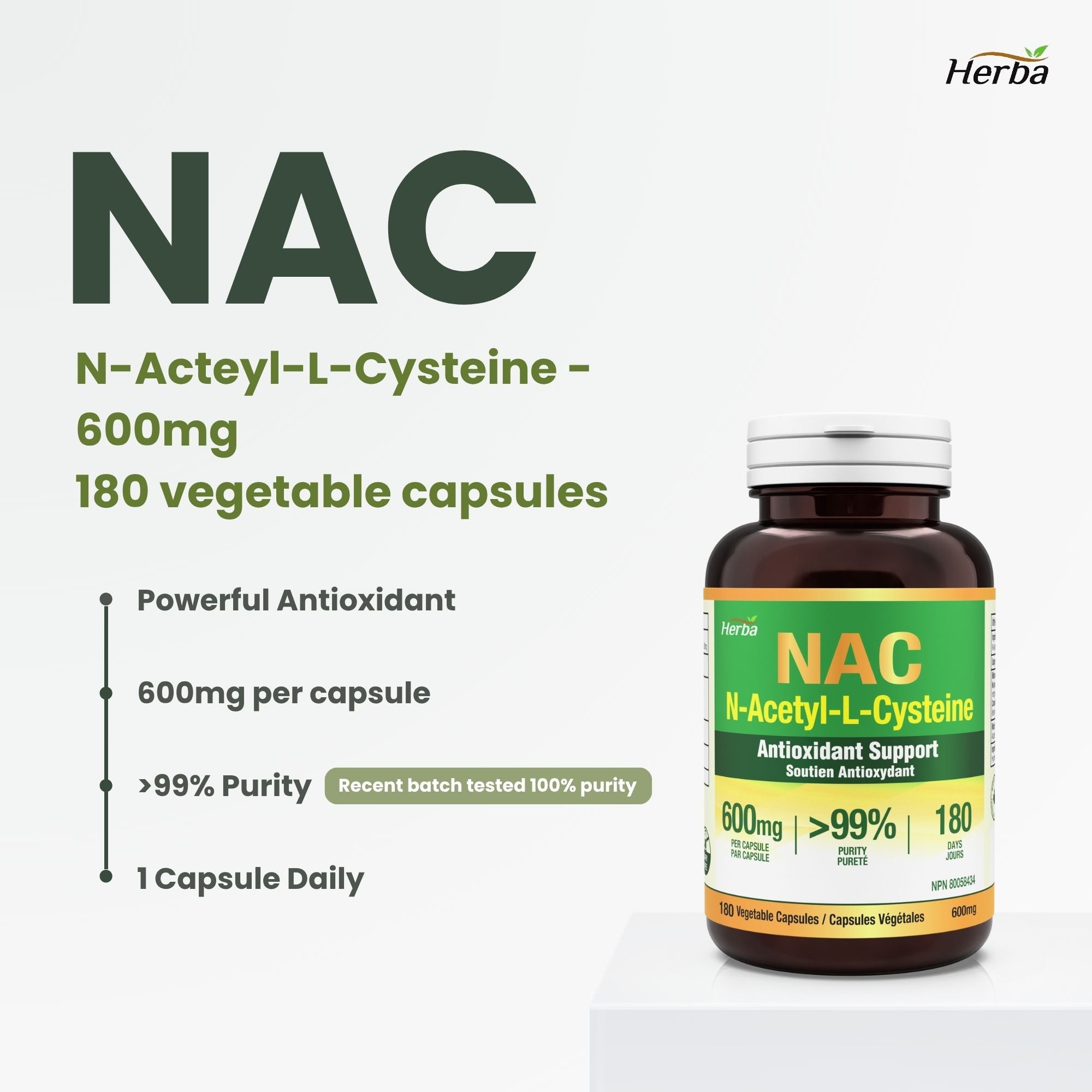 NAC Supplement 600 mg - 180 Capsules | N-Acetyl-L-Cysteine