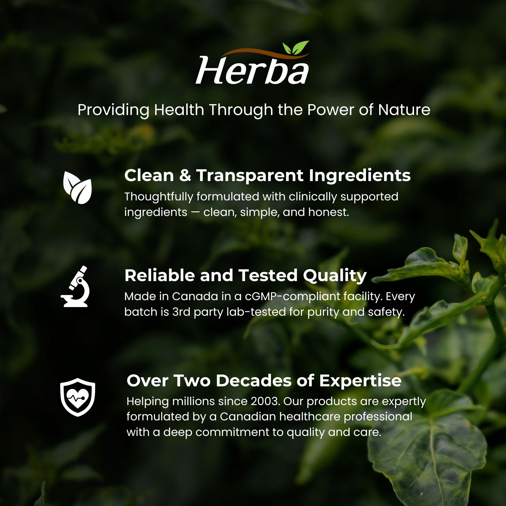 Supplément Rhodiola Rosea 200 mg - 90 Gélules Végétales | Fabriqué au Canada – 3 % de Rosavins et 1 % de Salidrosides