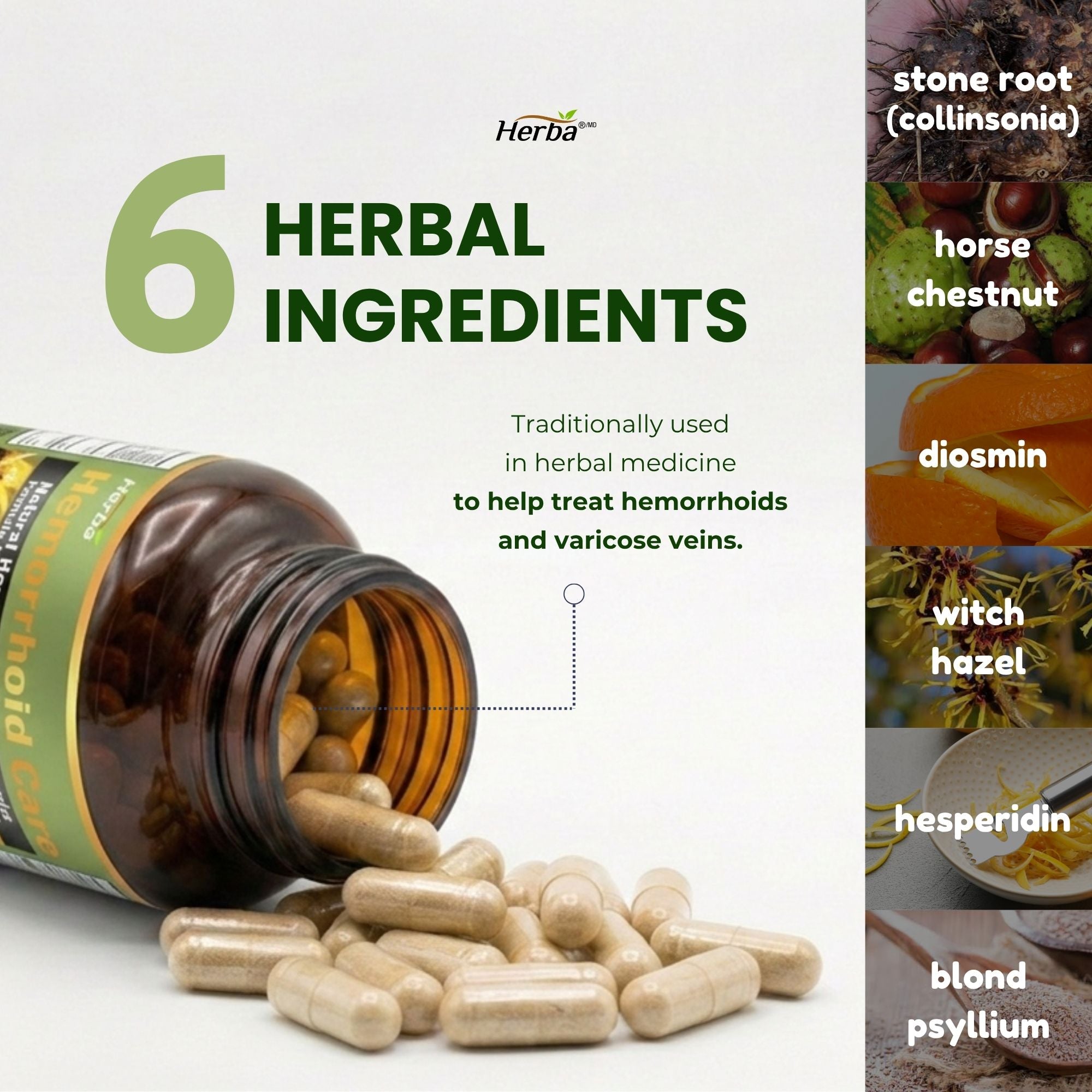 Soins des hémorroïdes - 90 capsules