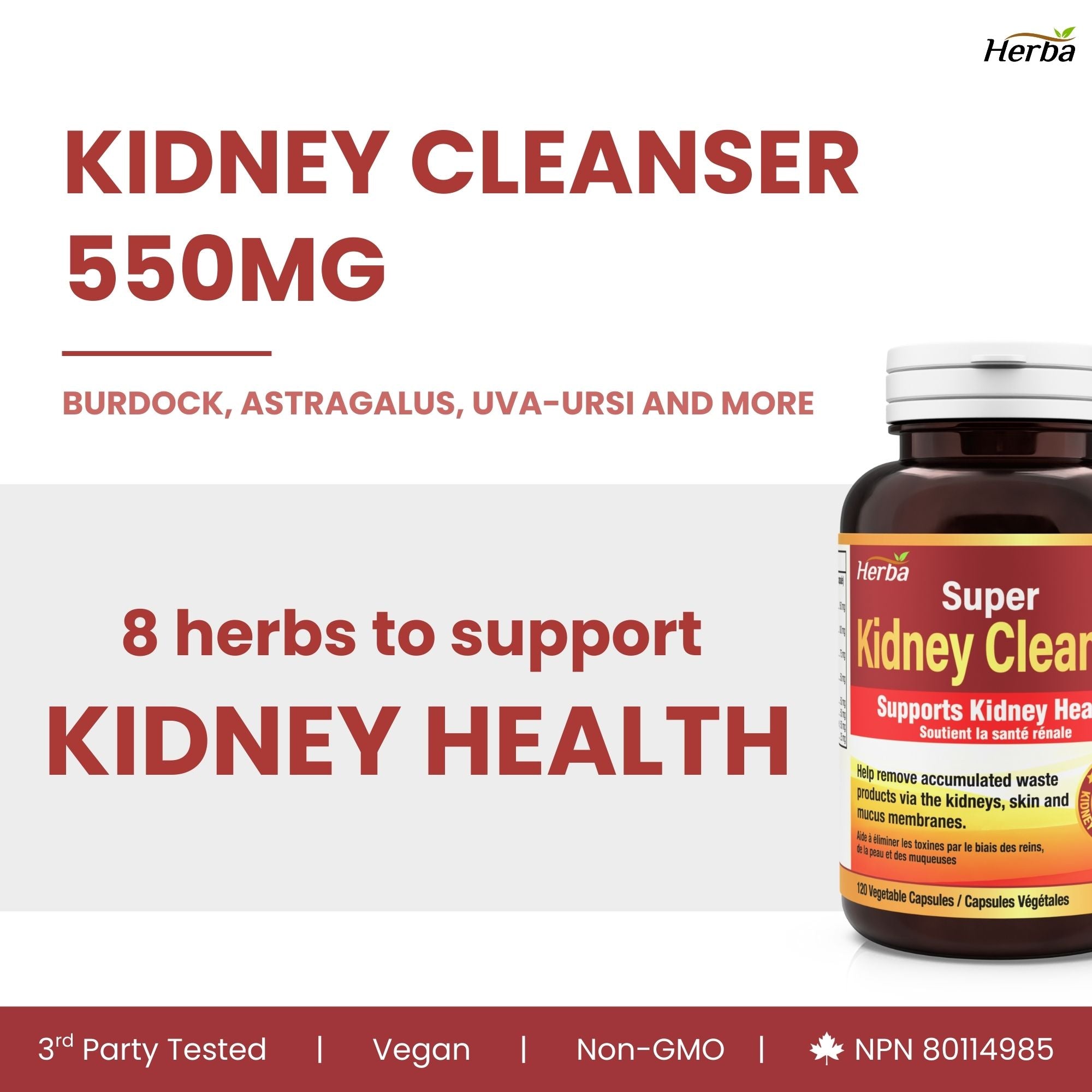 Kidney Cleanse Supplement – 120 Capsules | 8 Natural Ingredients to Support Kidney and Bladder Health