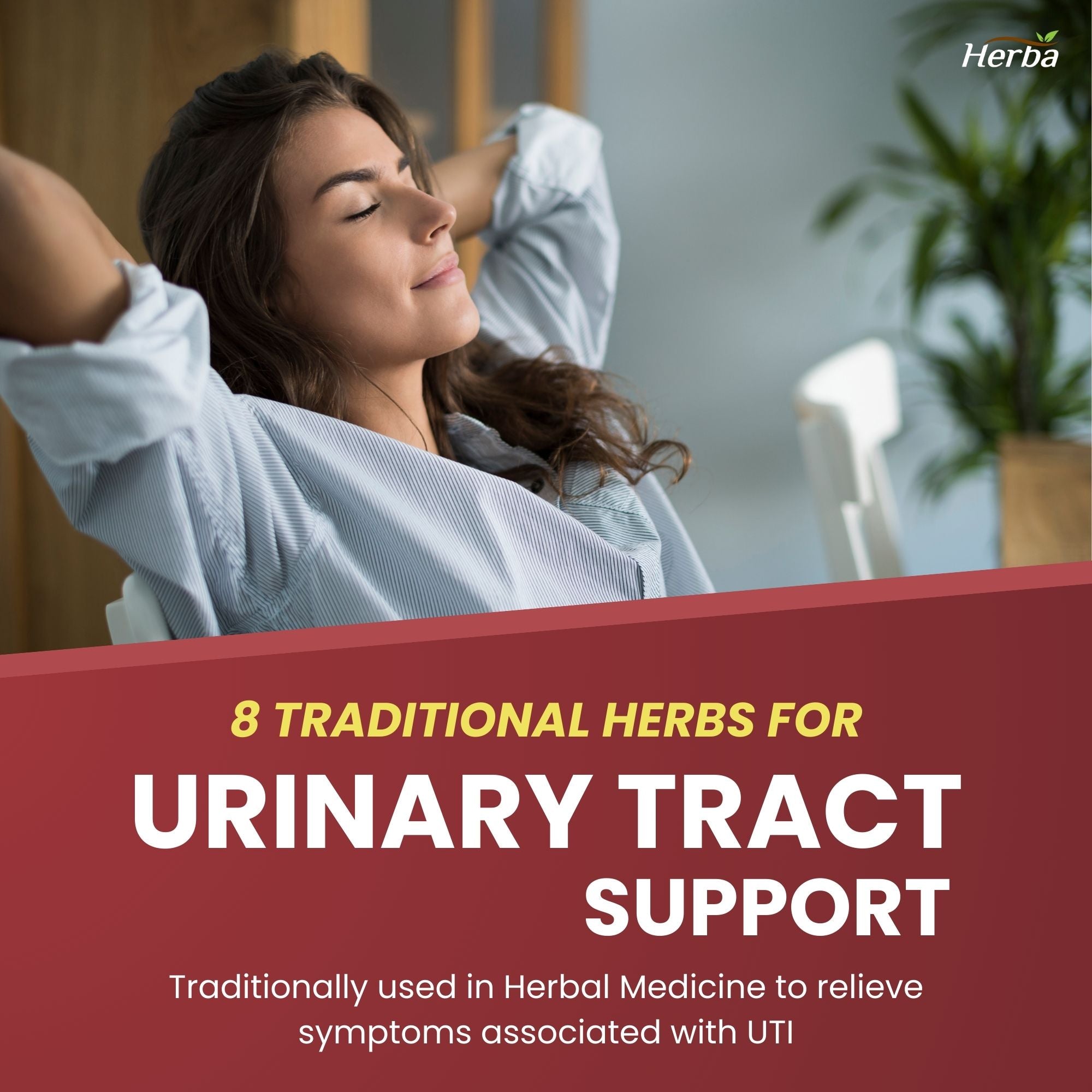 Kidney Cleanse Supplement – 120 Capsules | 8 Natural Ingredients to Support Kidney and Bladder Health