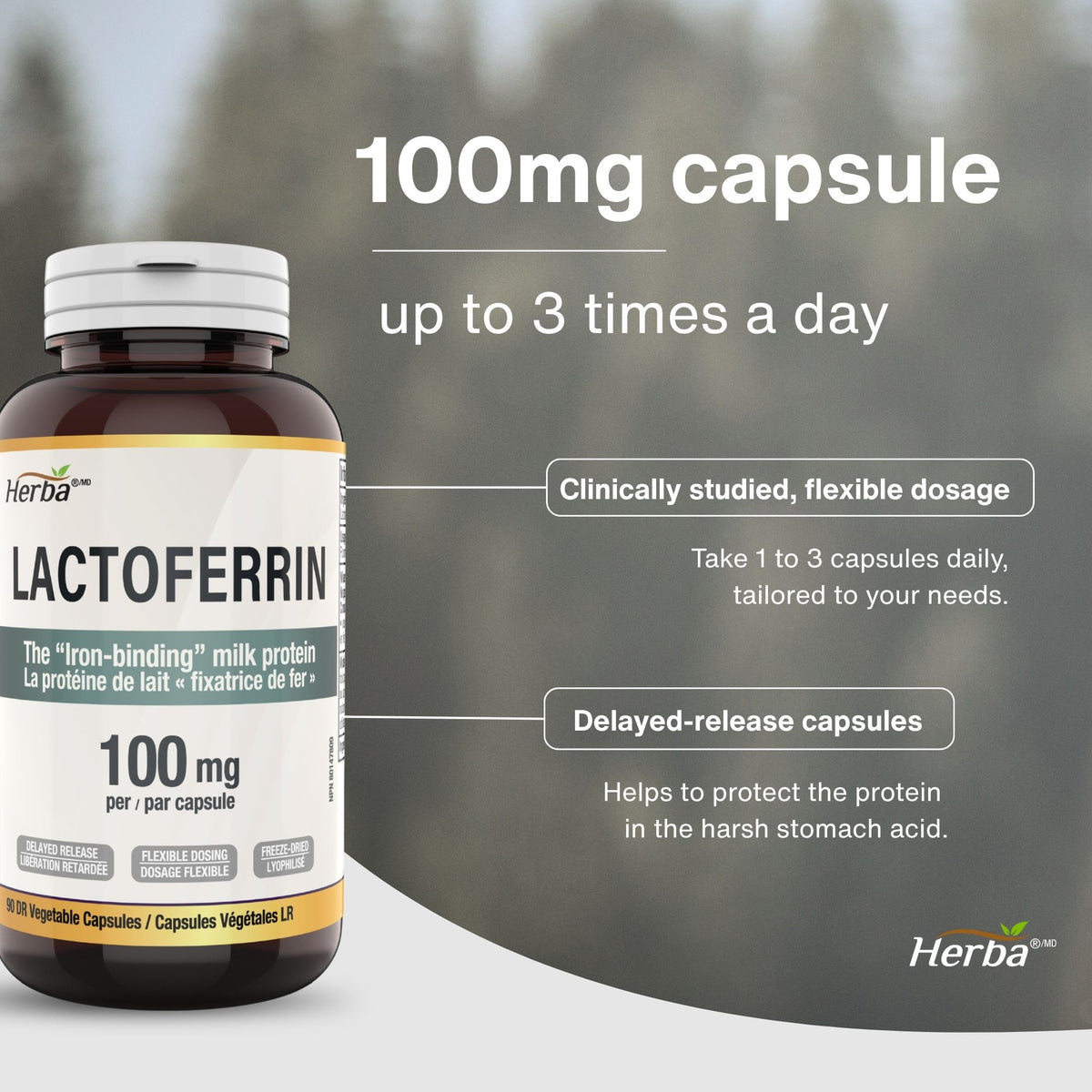 Lactoferrin Supplement 100mg - 90 DR Capsules | Made in Canada