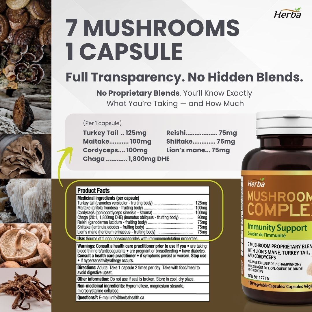 Suppléments complexes de champignons – 120 gélules